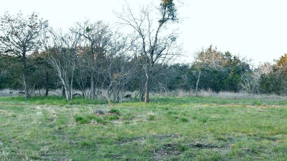 1141 Settlers RD, San Marcos, TX 78666 photo 4