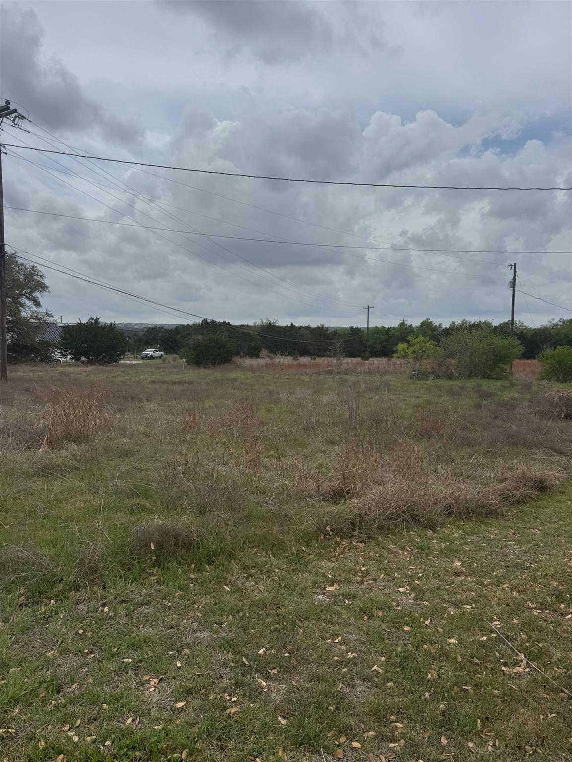 Family Tree