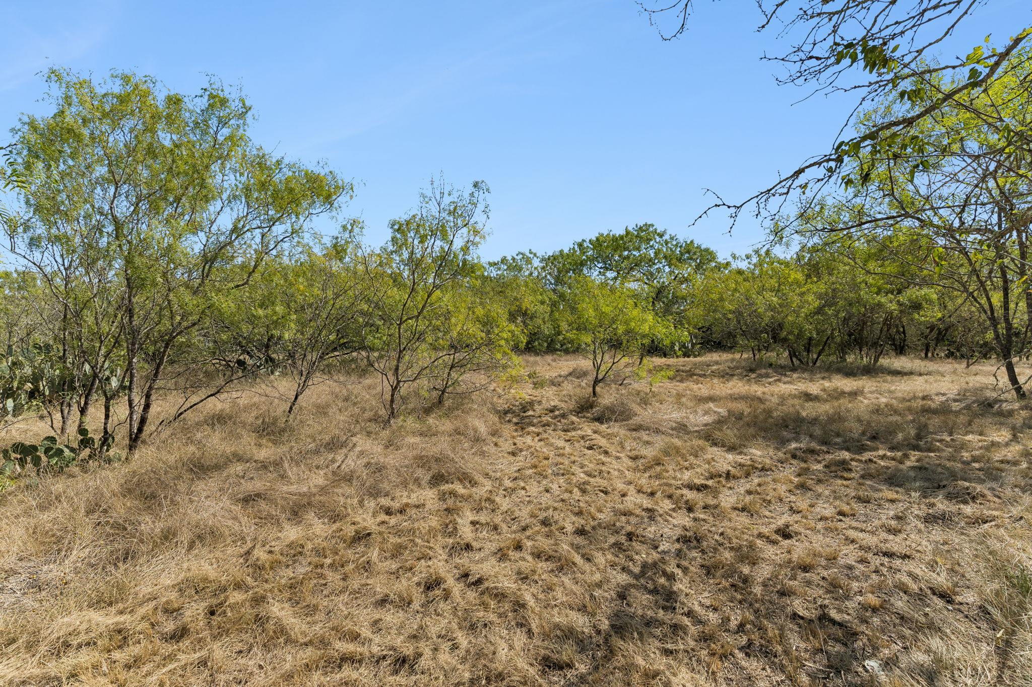 200 Armstrong RD, Lockhart, TX 78644 photo 4