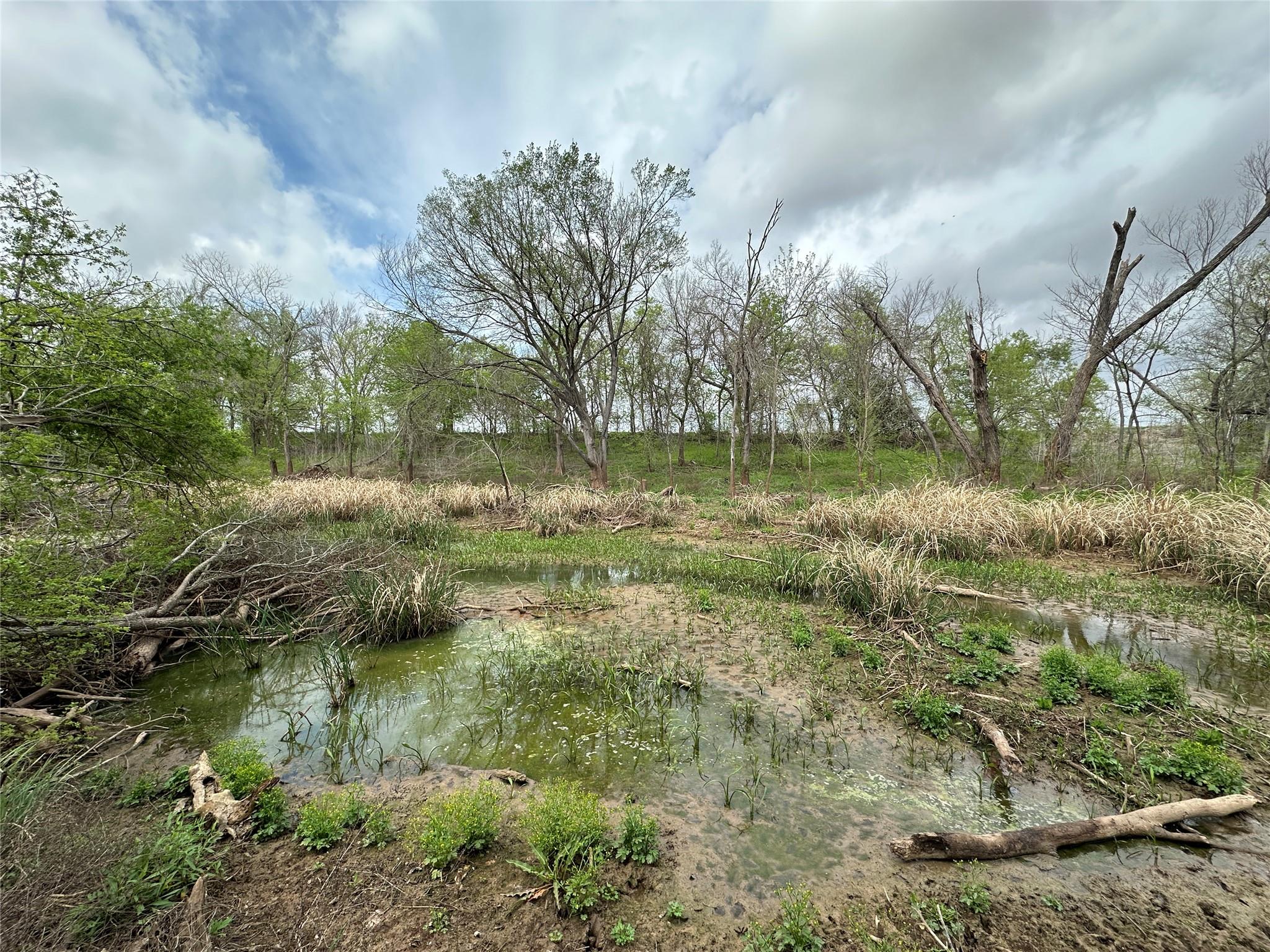 909 FM 712, Marlin, TX 76661 photo 3