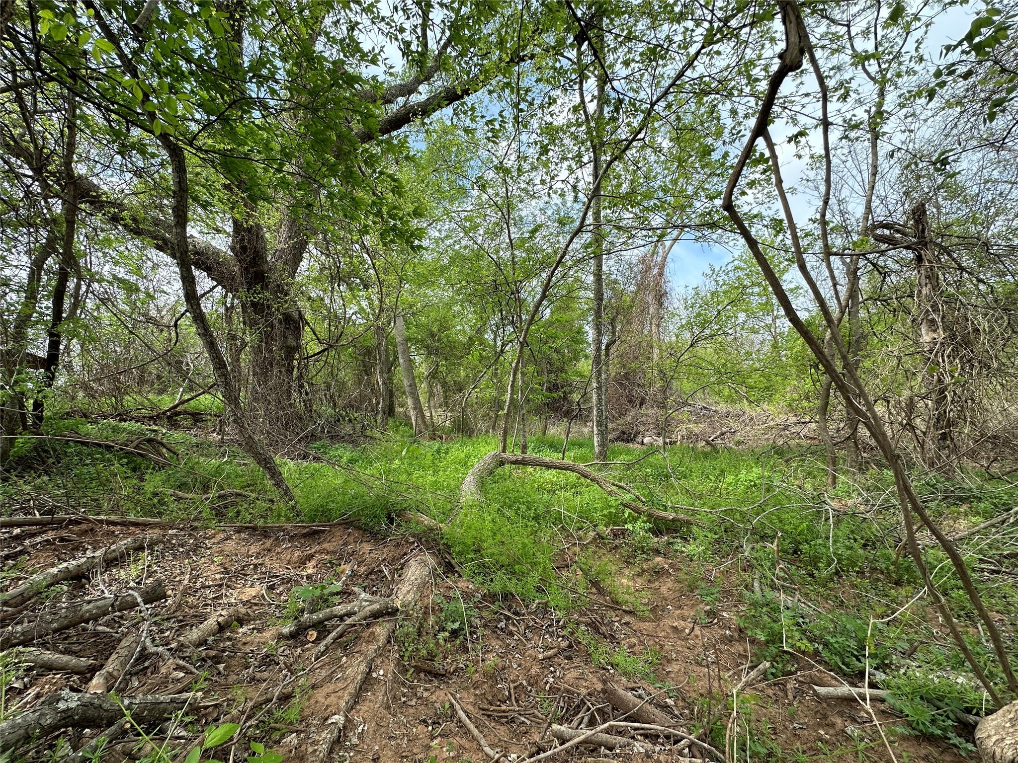 909 FM 712, Marlin, TX 76661 photo 4