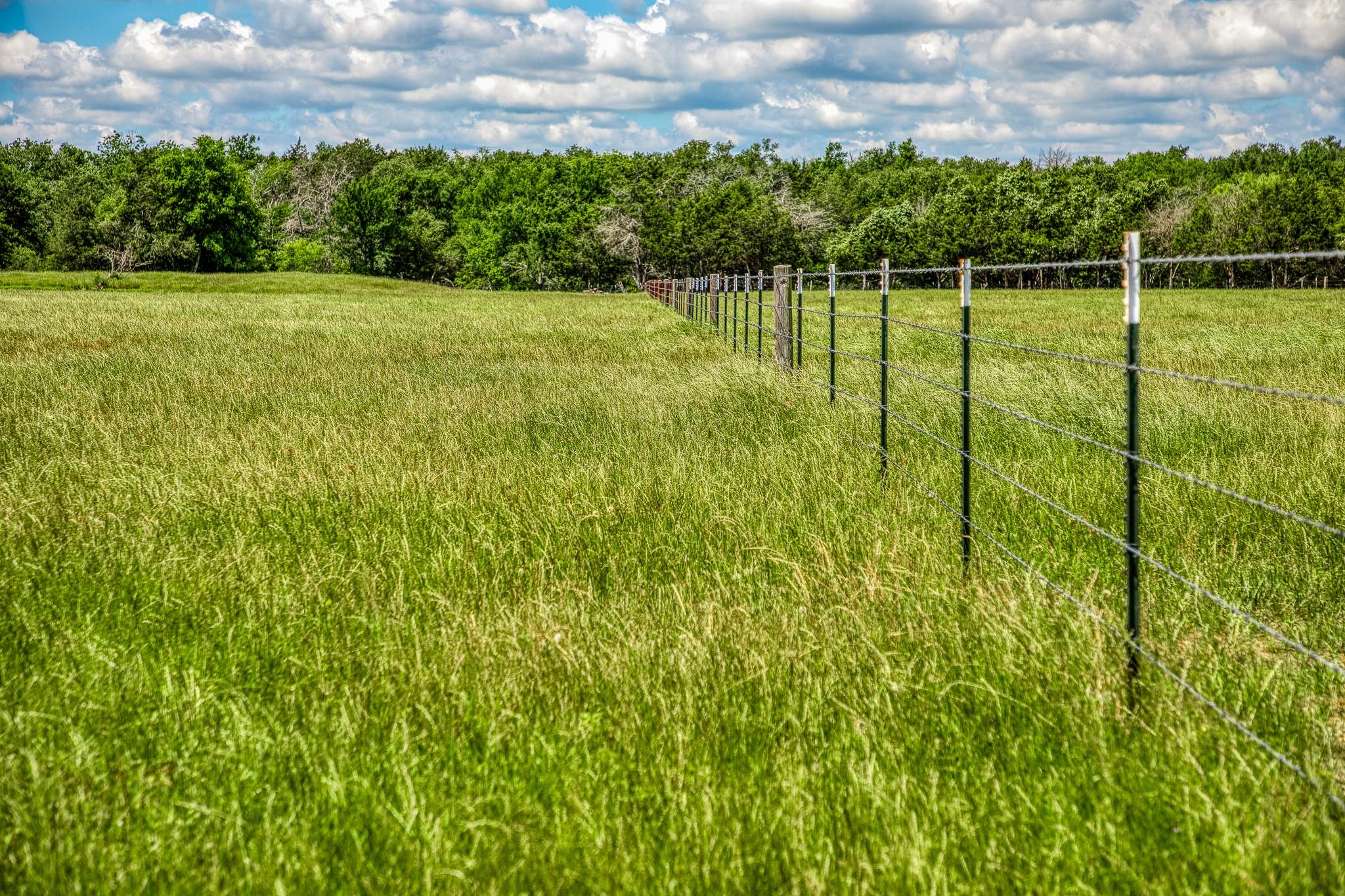 1850 LCR 439, Groesbeck, TX 76667 photo 4