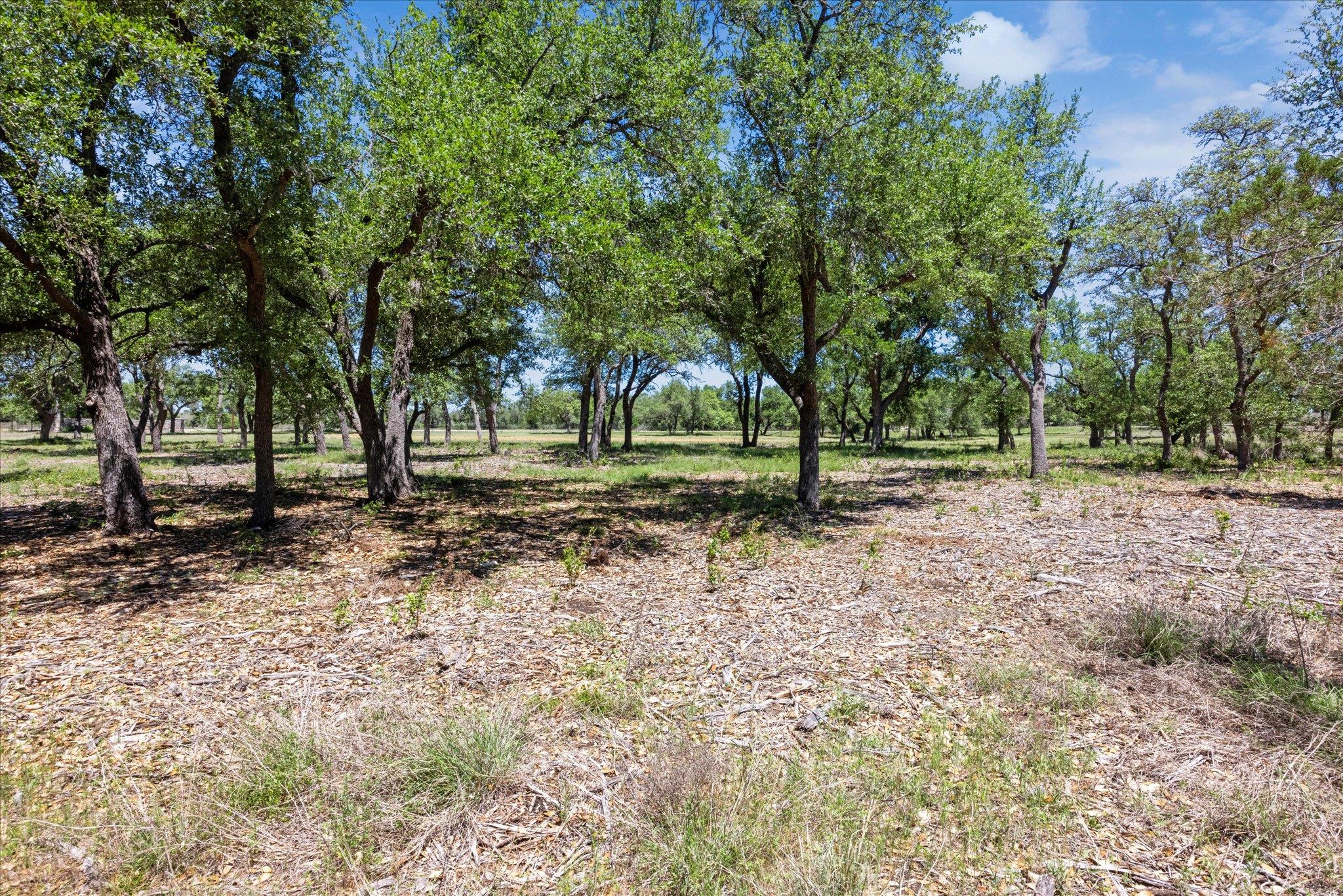 201 Medlin Creek LOOP, Dripping Springs, TX 78620 photo 5