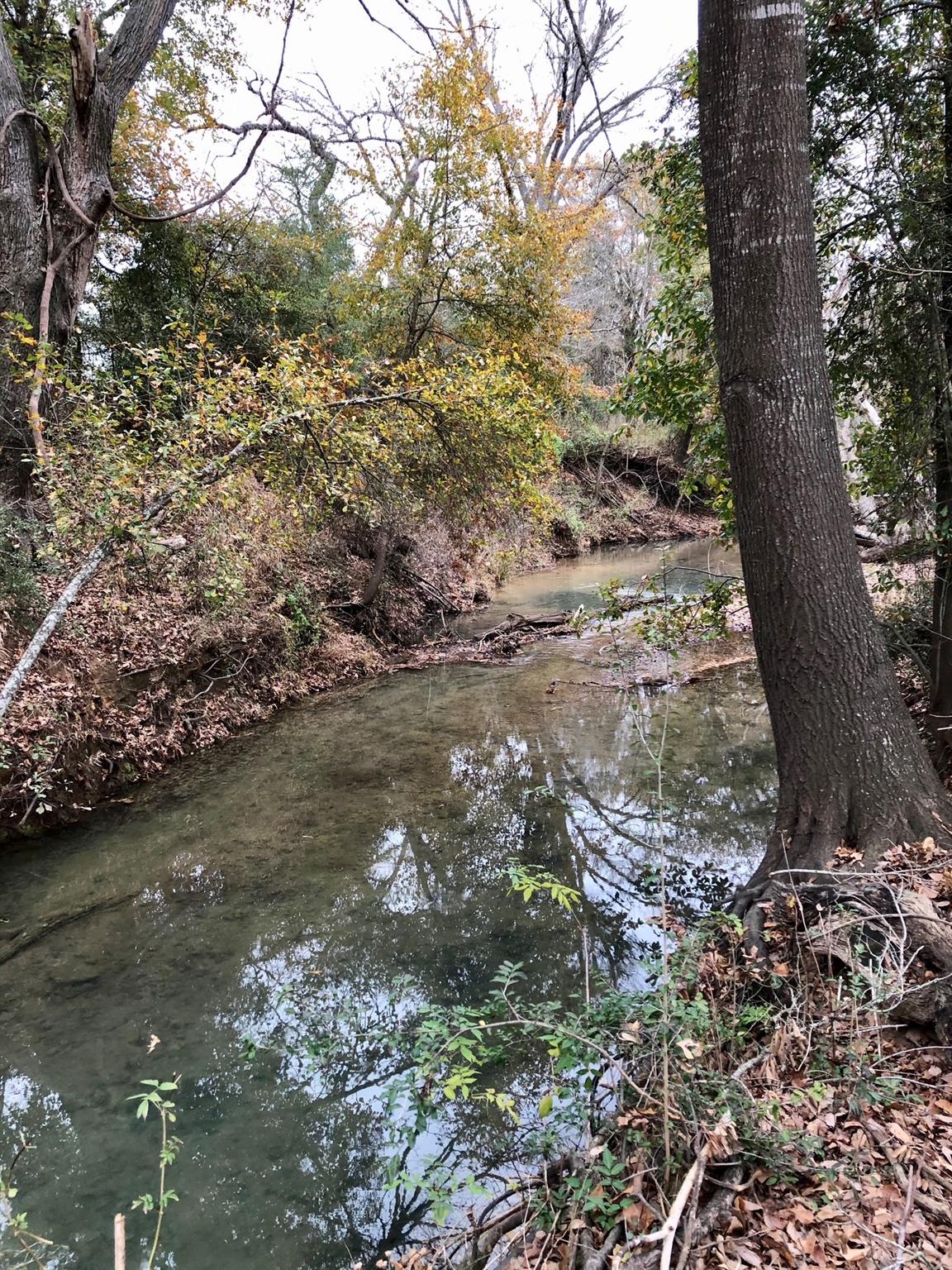 TBD 144.45 acres, Smithville, TX 78957 photo 4