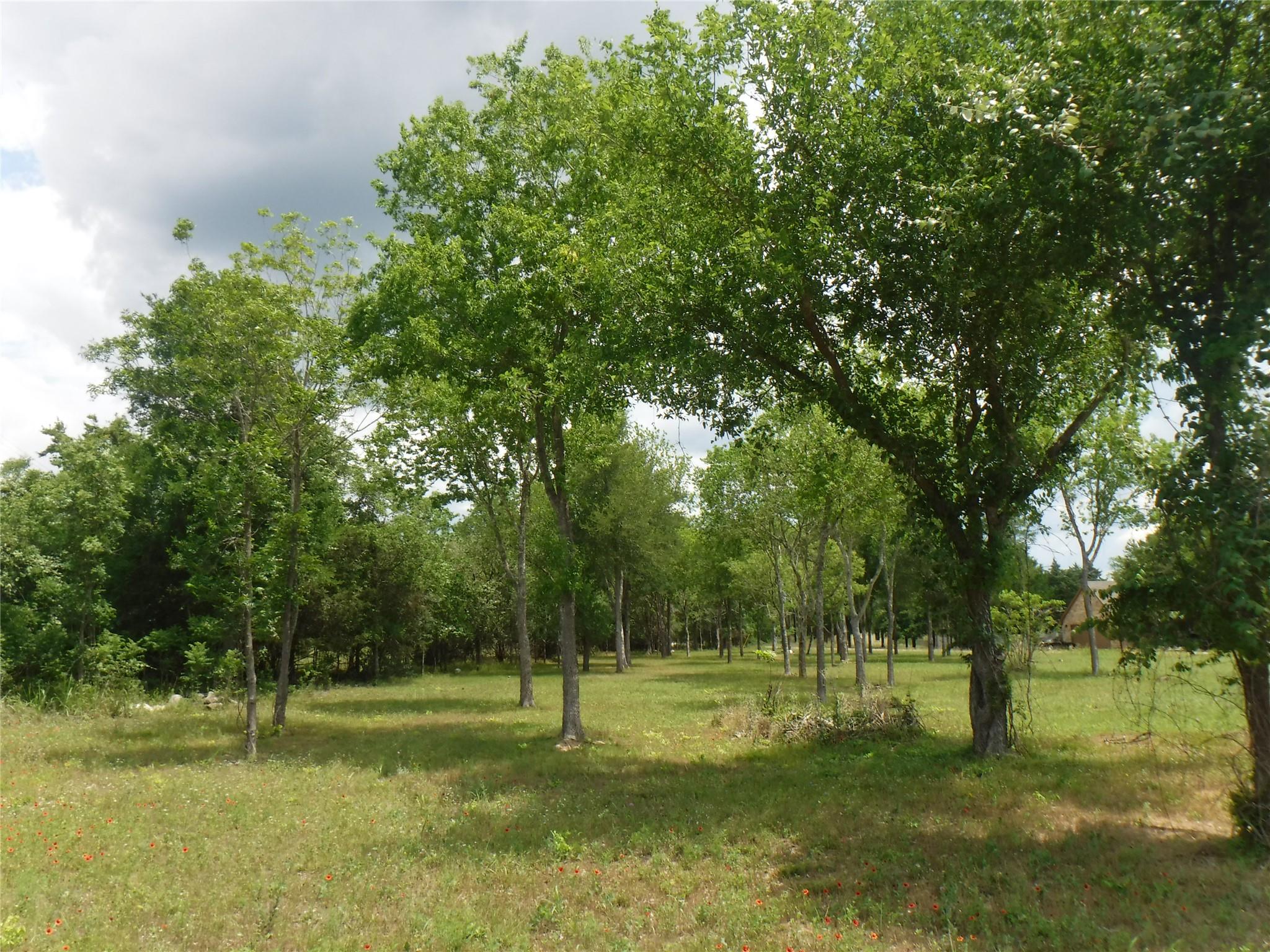 104 Riverside DR, Bastrop, TX 78602 photo 2