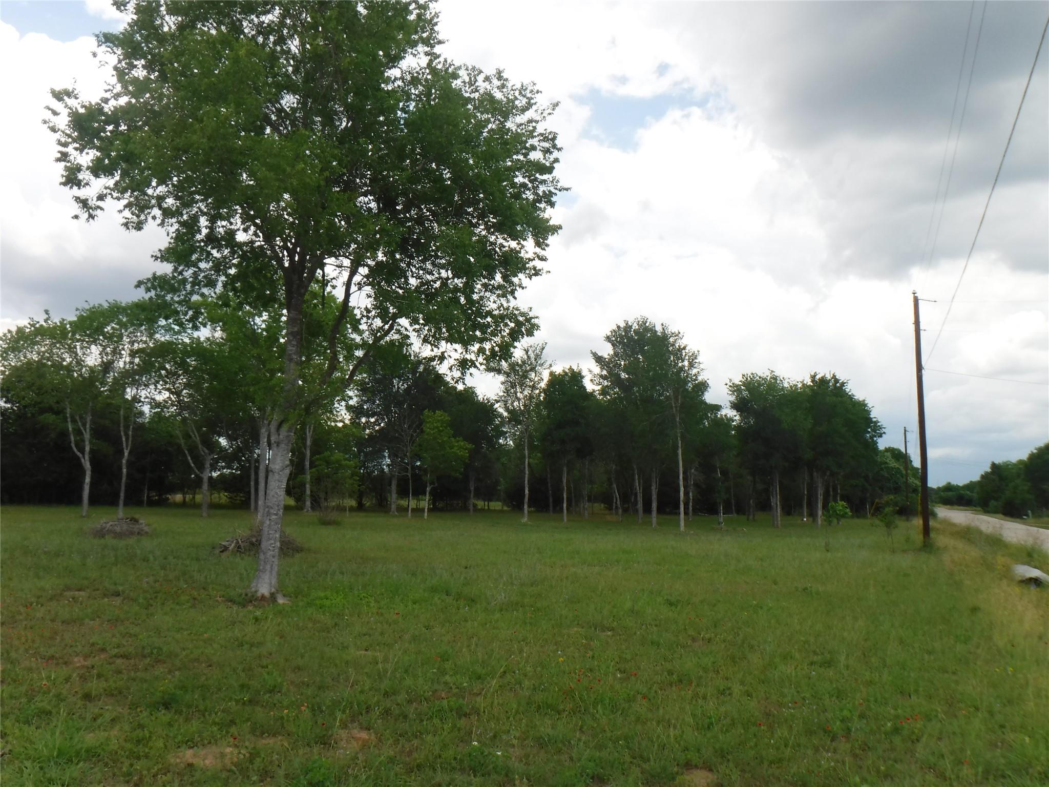 104 Riverside DR, Bastrop, TX 78602 photo 5