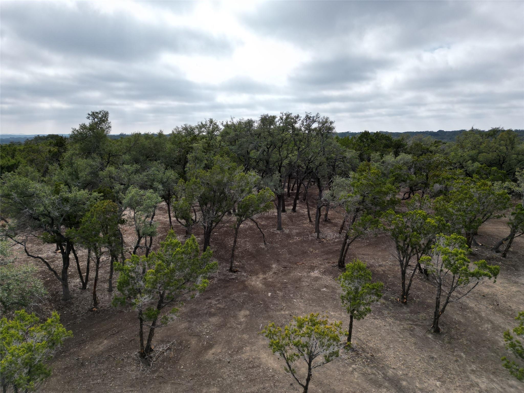 15 Acres Red Corral Ranch RD, Wimberley, TX 78676 photo 3