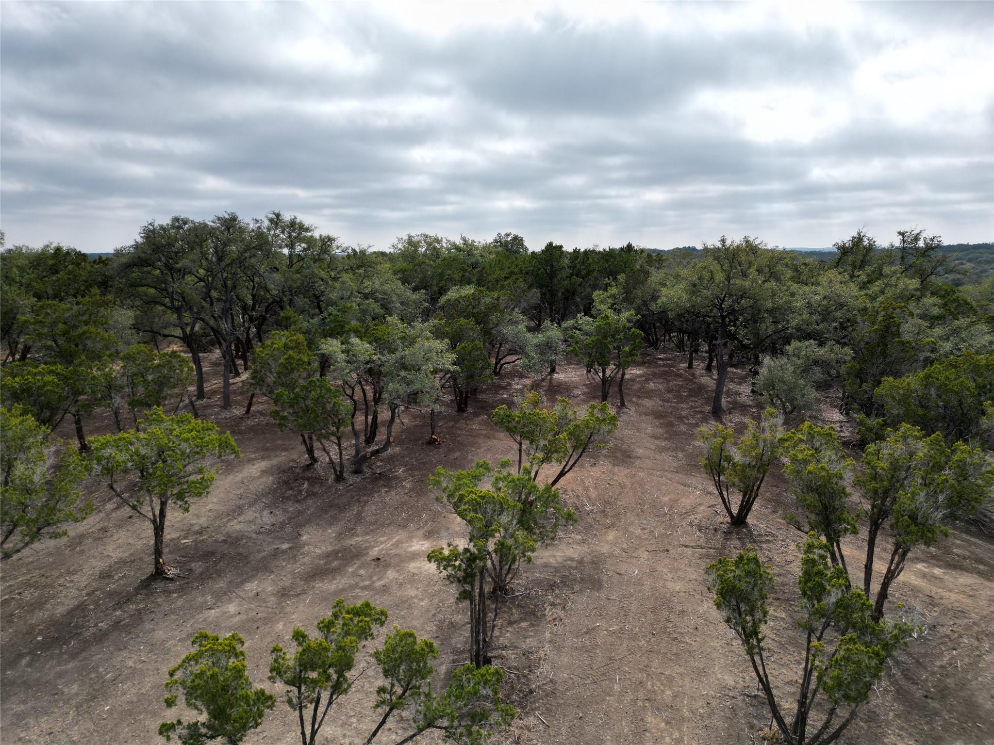 15 Acres Red Corral Ranch RD, Wimberley, TX 78676 photo 4