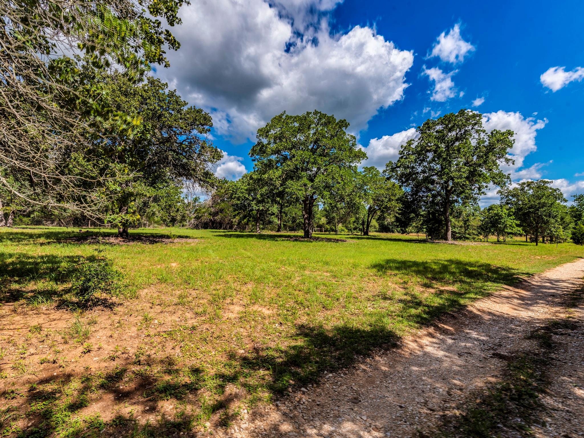 160 Radcliff LN, Harwood, TX 78953 photo 5