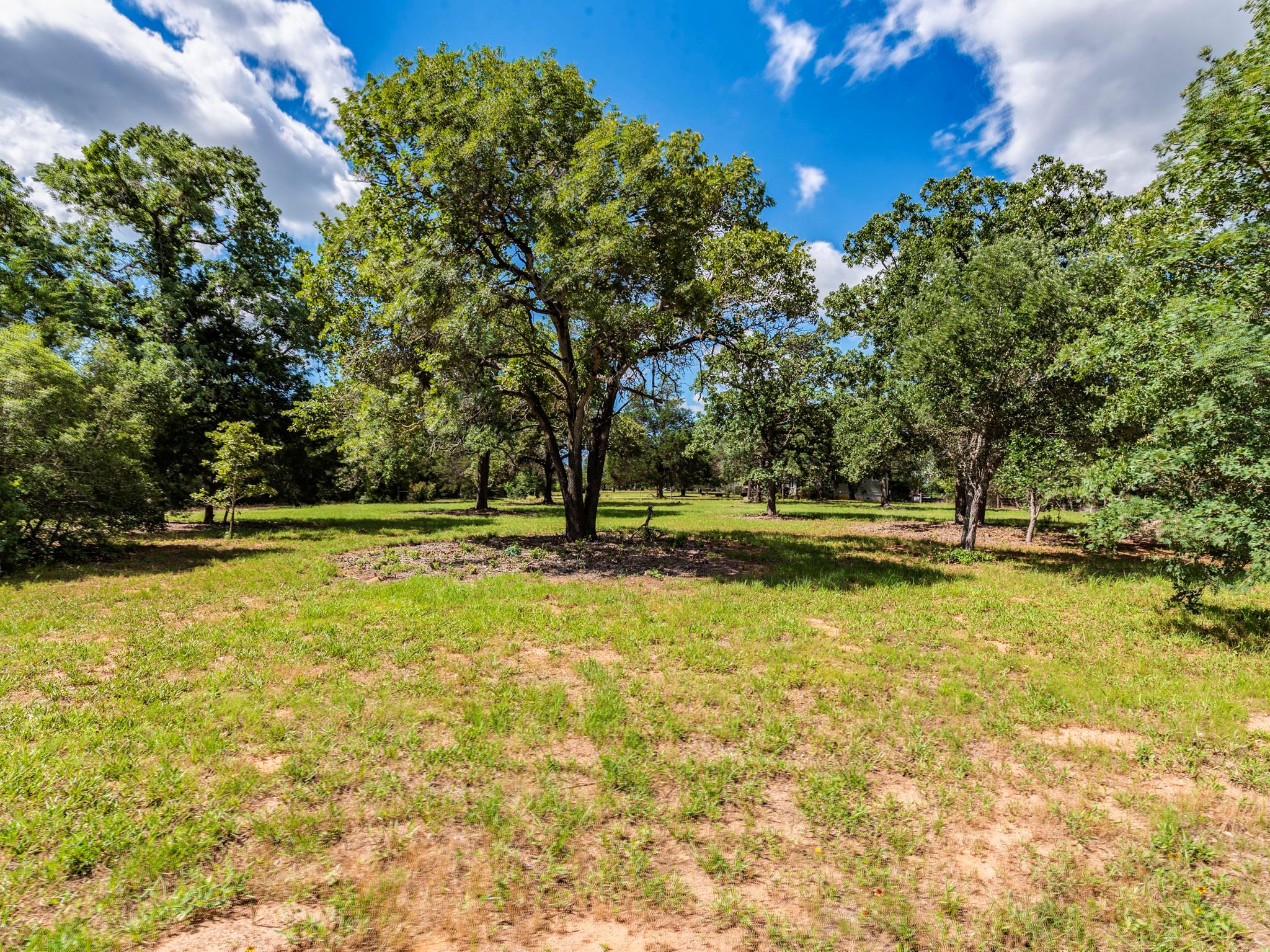160 Radcliff LN, Harwood, TX 78953 photo 4