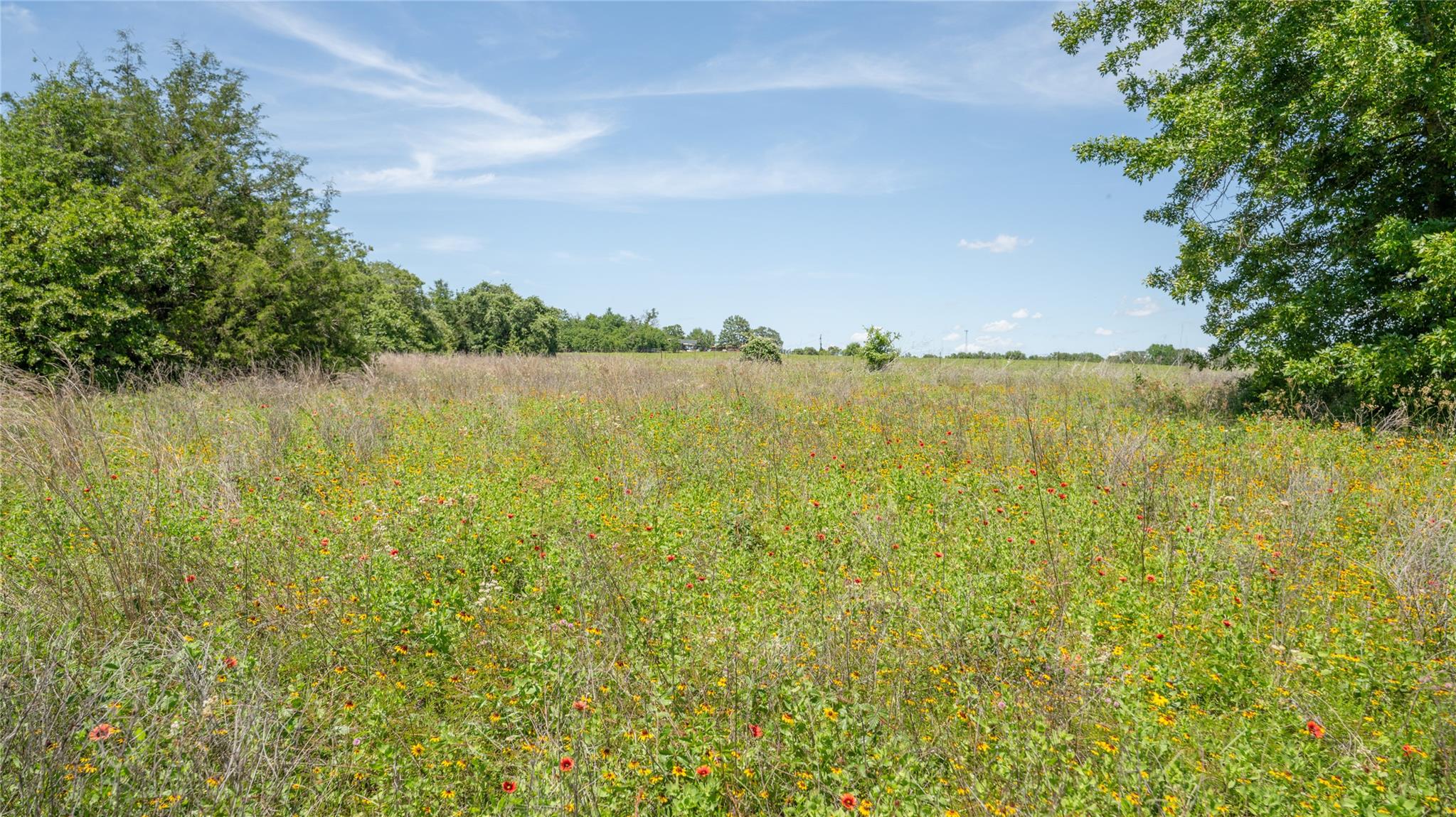 0000 CR 330, Milano, TX 76556 photo 4