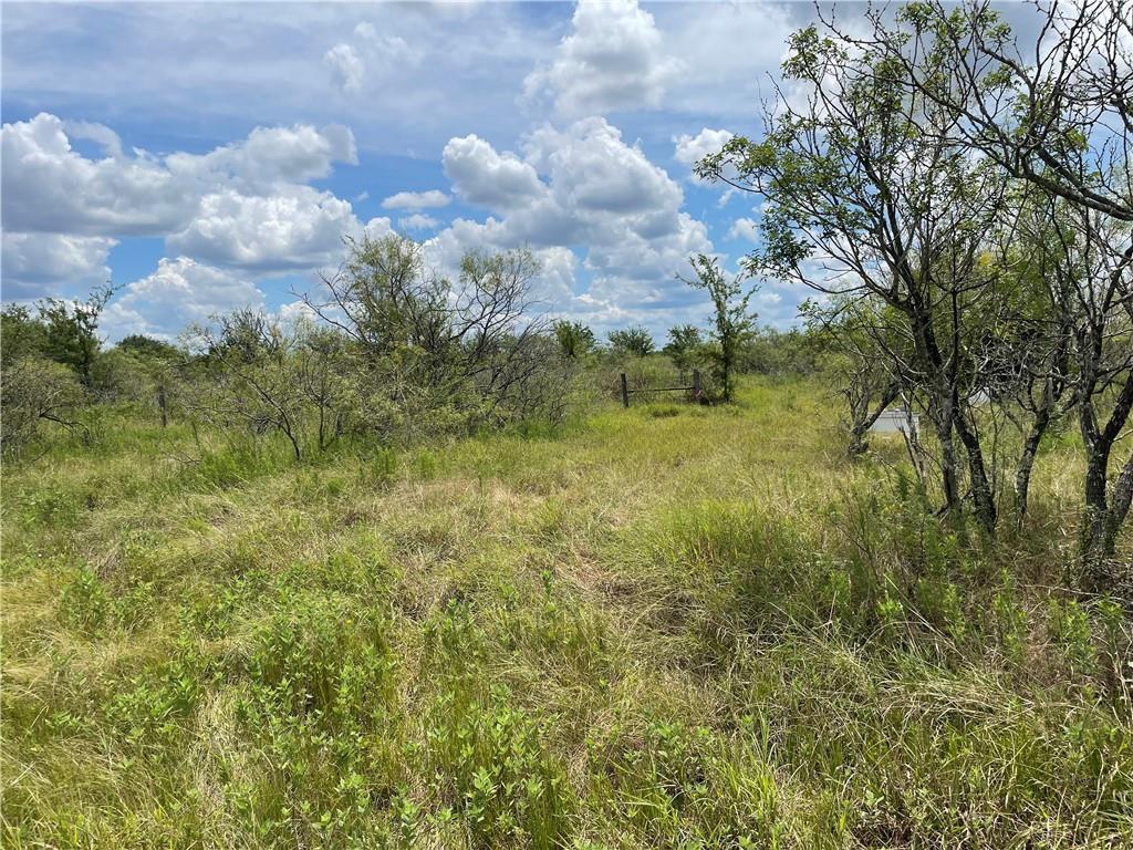 9025 Burklund Farms RD, Del Valle, TX 78617 photo 3