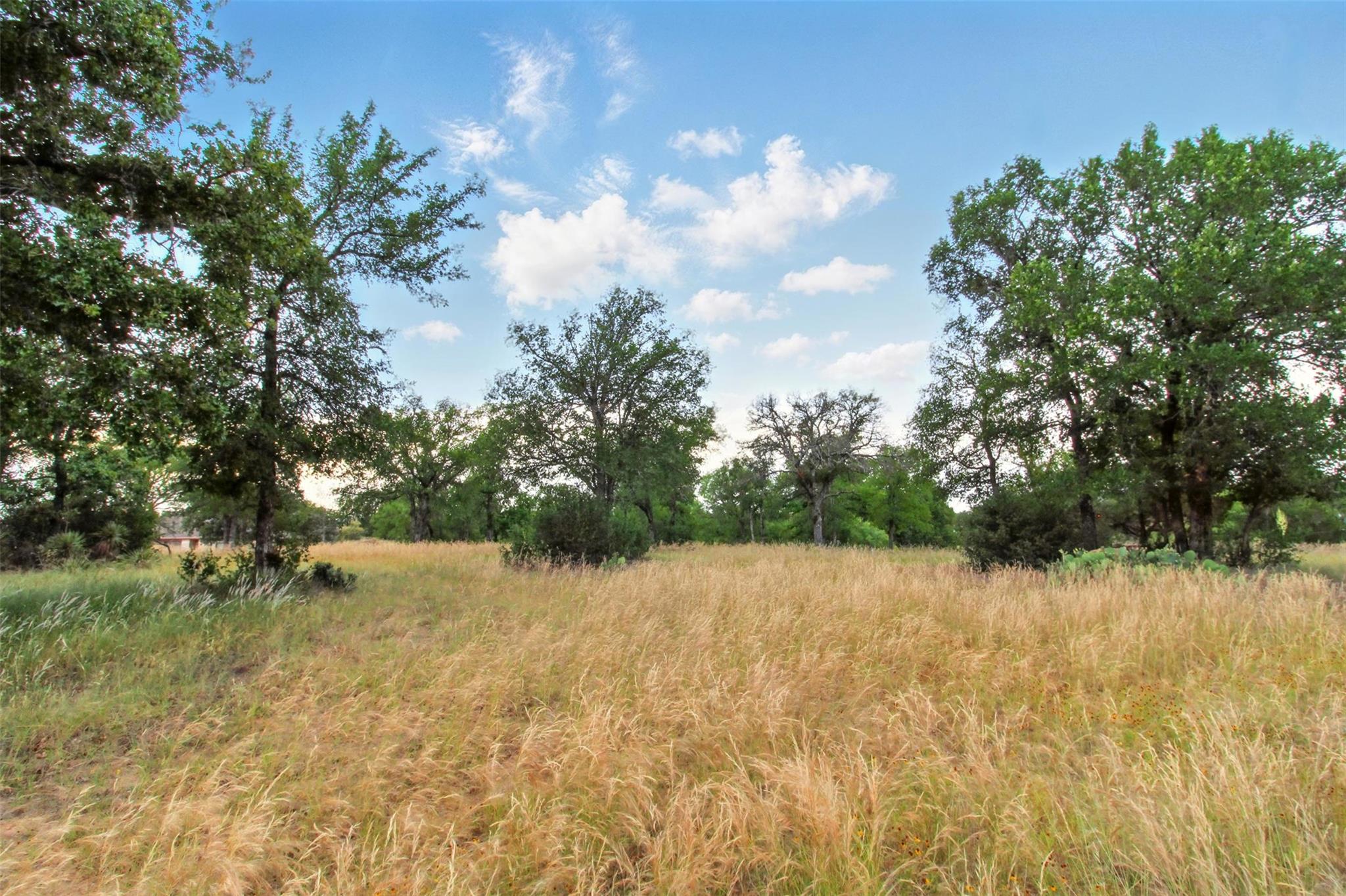 Lot 205 Skyline DR, Kingsland, TX 78639 photo 5
