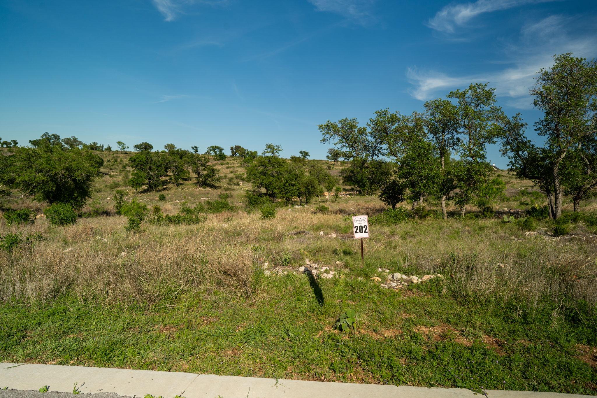 Lot 202 TBD Westridge Way, Big Creek Ranch, Kingsland, TX 78639 photo 4