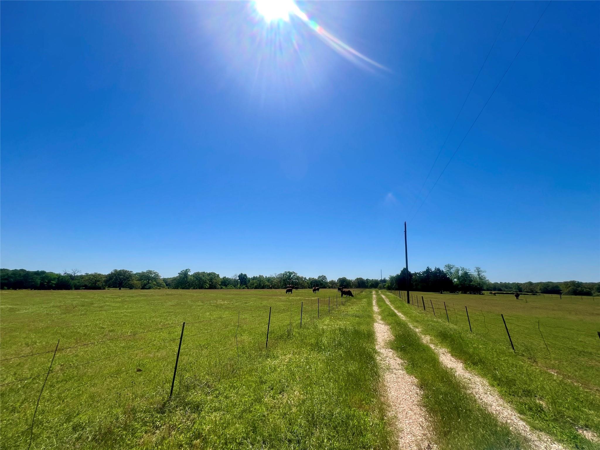 2542 County Road 306, Lexington, TX 78947 photo 2