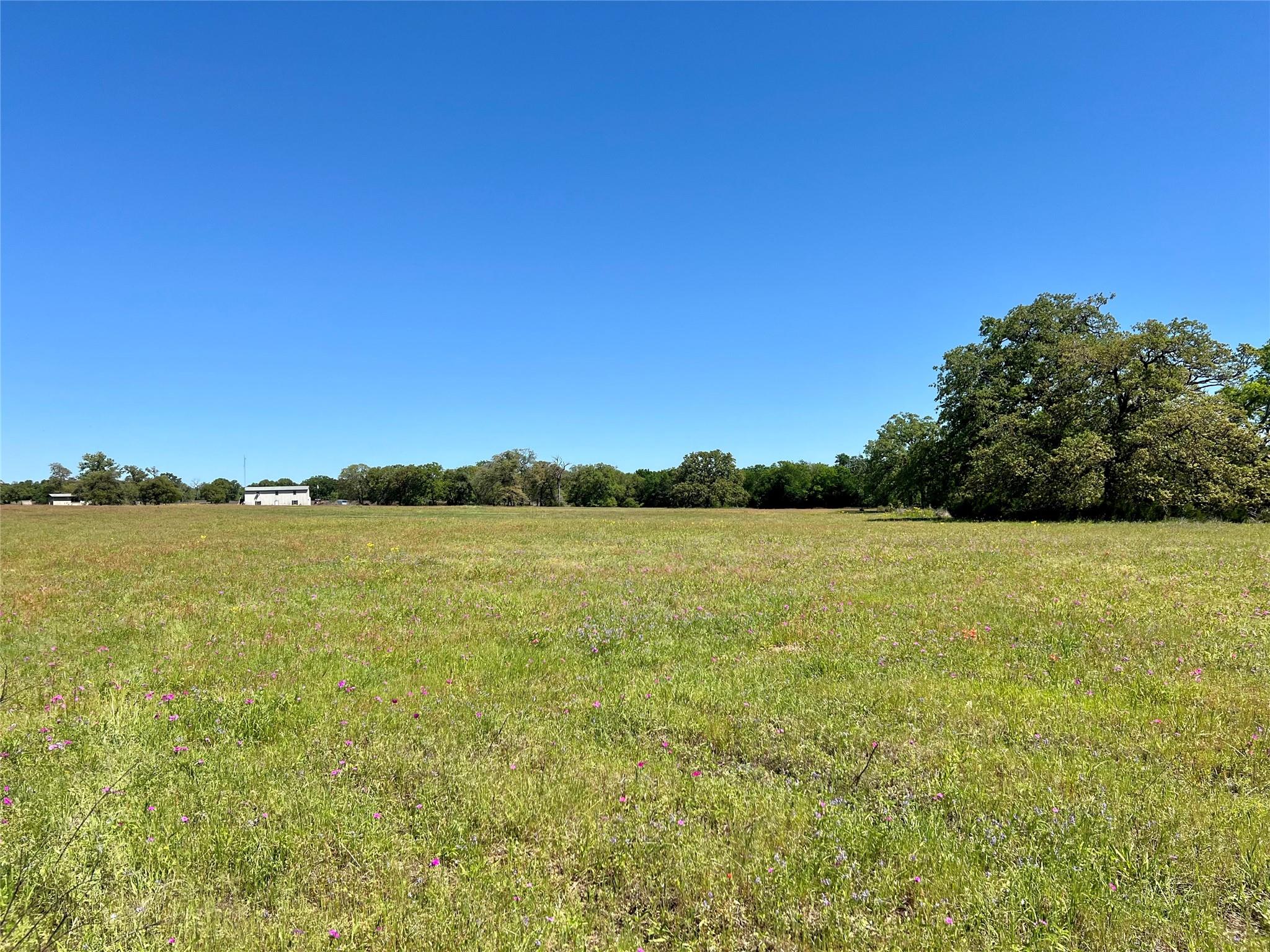 2542 County Road 306, Lexington, TX 78947 photo 3