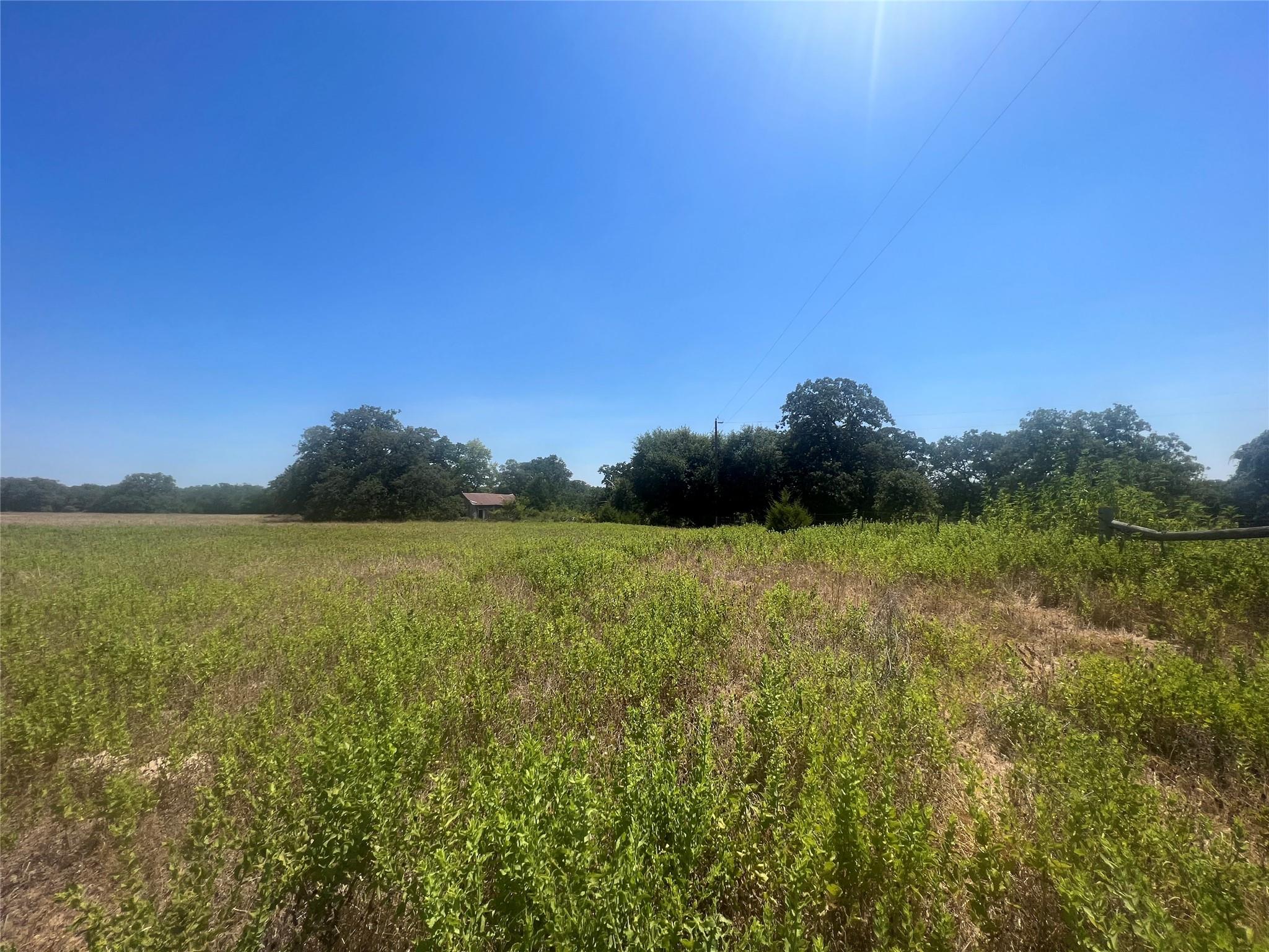 2542 County Road 306, Lexington, TX 78947 photo 5