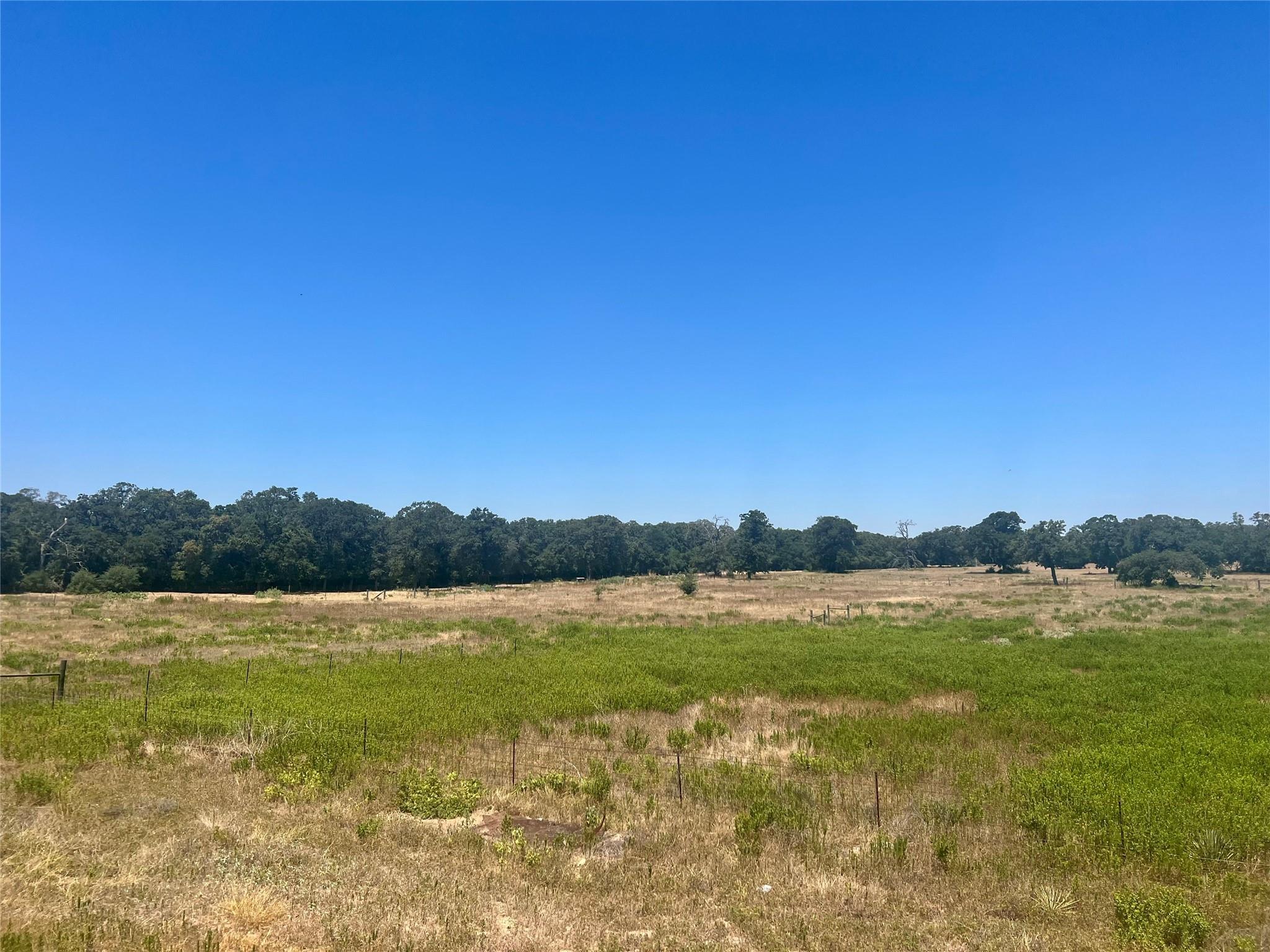 2542 County Road 306, Lexington, TX 78947 photo 4