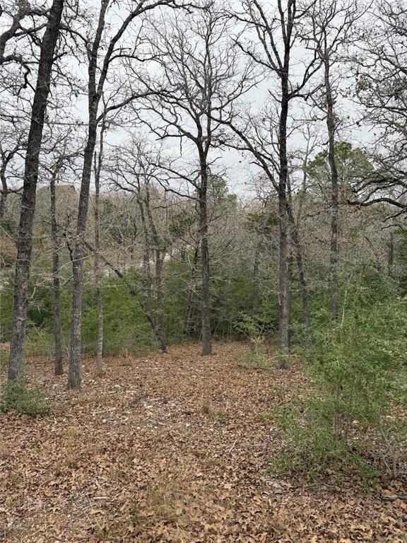 000 Wailupe CIR, Bastrop, TX 78602 photo 2