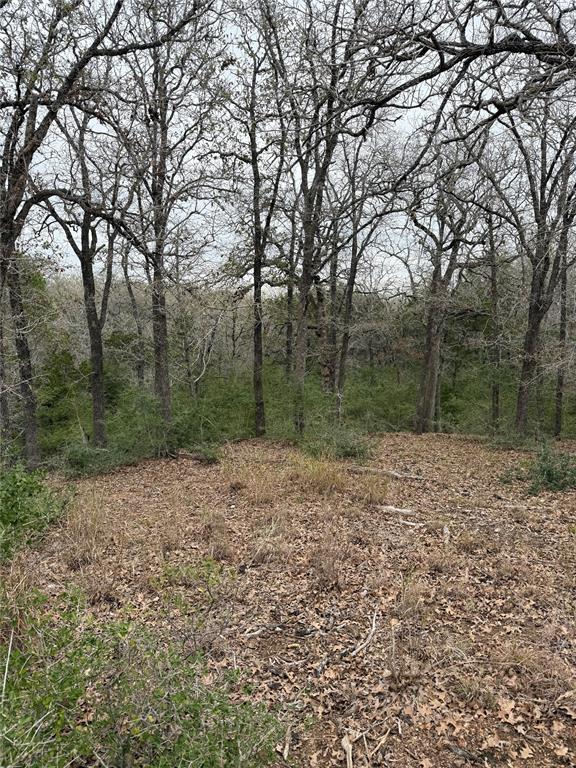 000 Wailupe CIR, Bastrop, TX 78602 photo 3