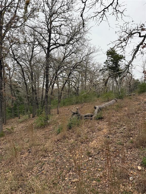 000 Wailupe CIR, Bastrop, TX 78602 photo 4