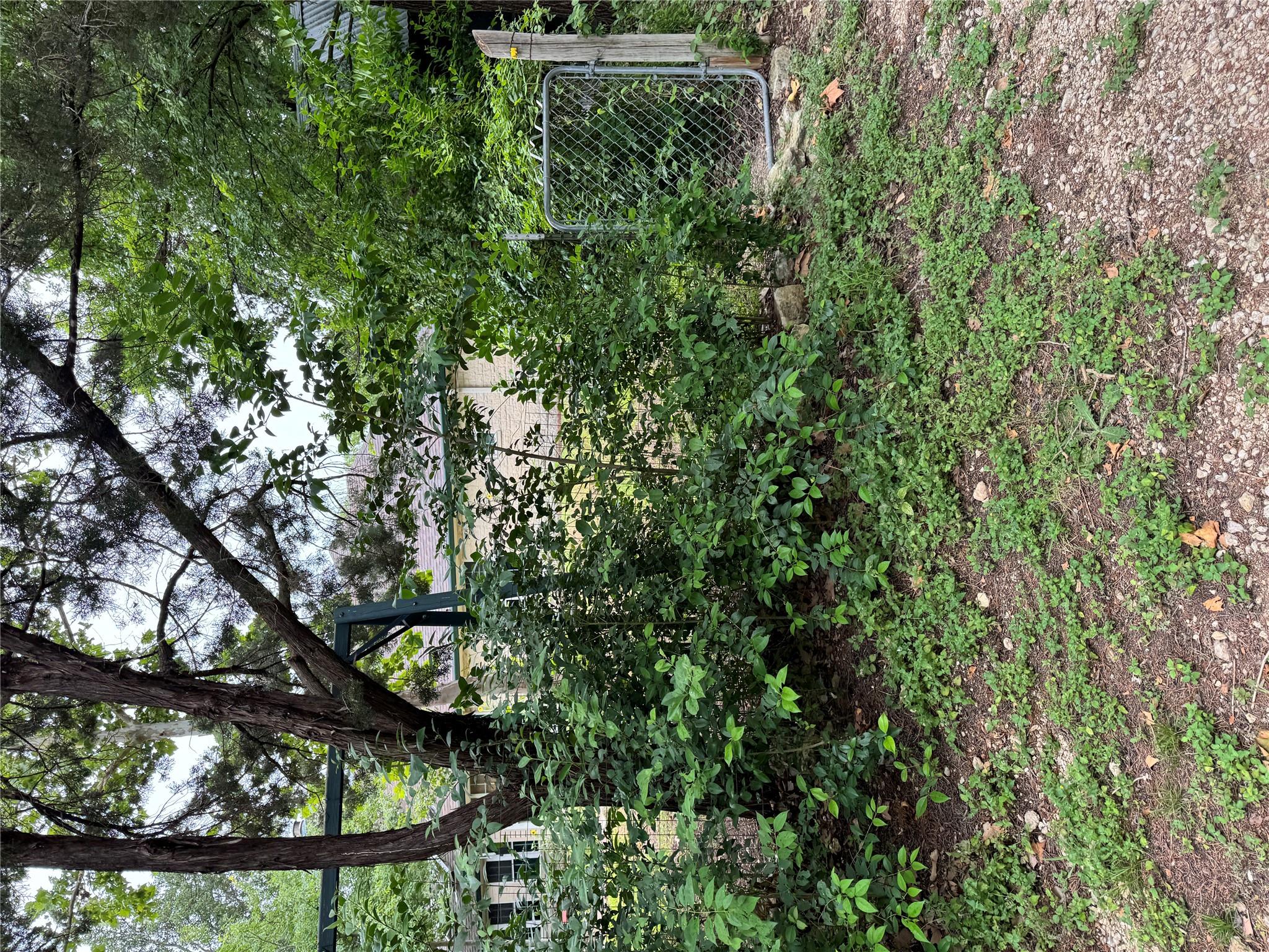 3201 Little Nolan RD, Killeen, TX 76542 photo 4