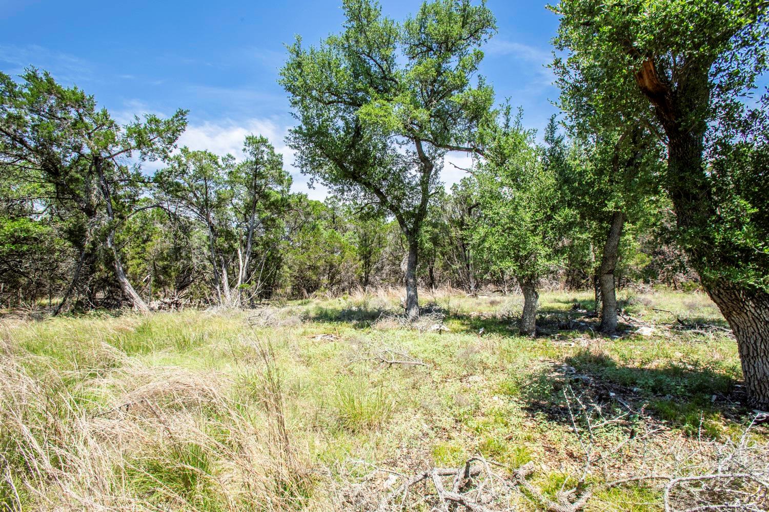 41 Persimmon DR, Wimberley, TX 78676 photo 3