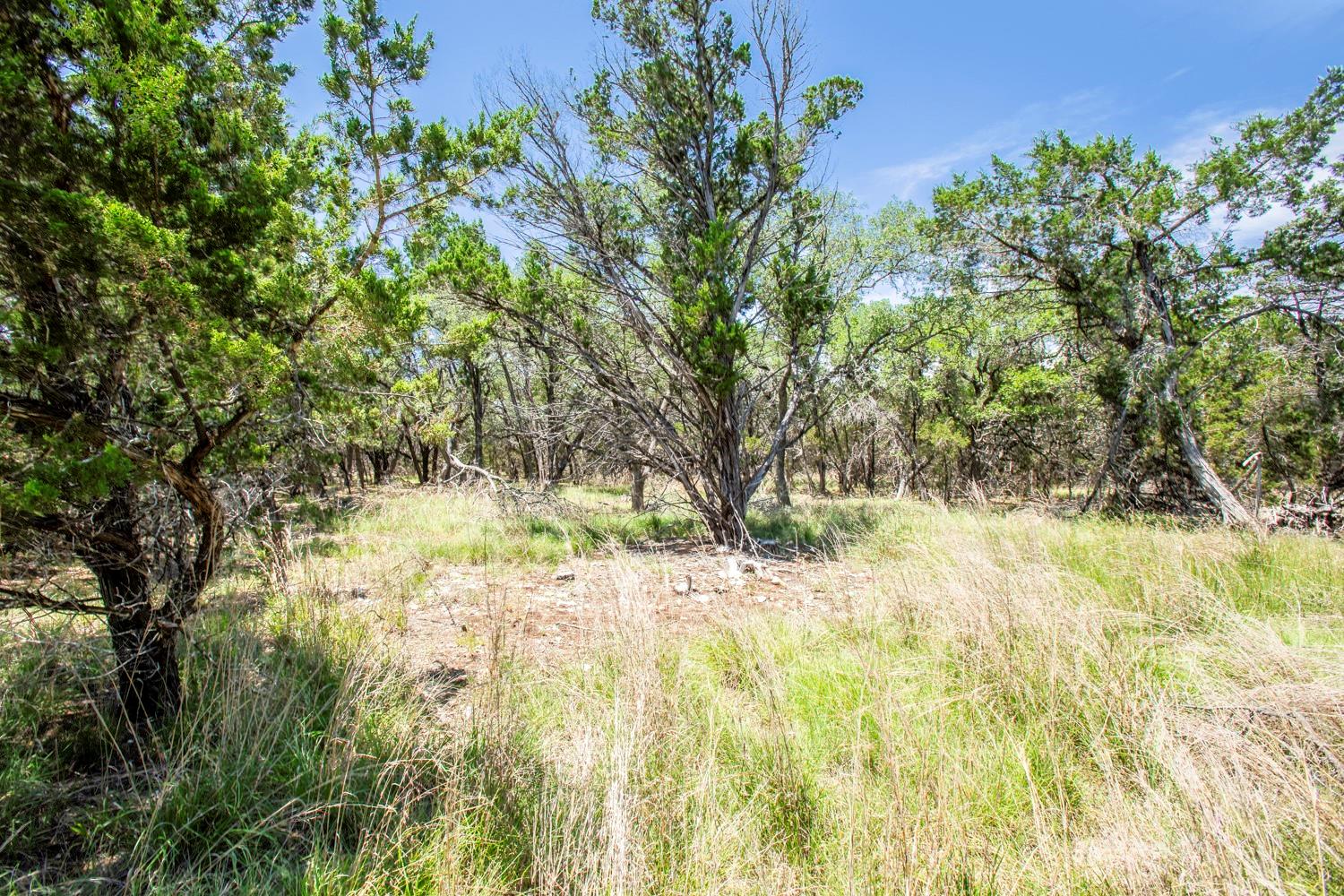41 Persimmon DR, Wimberley, TX 78676 photo 5