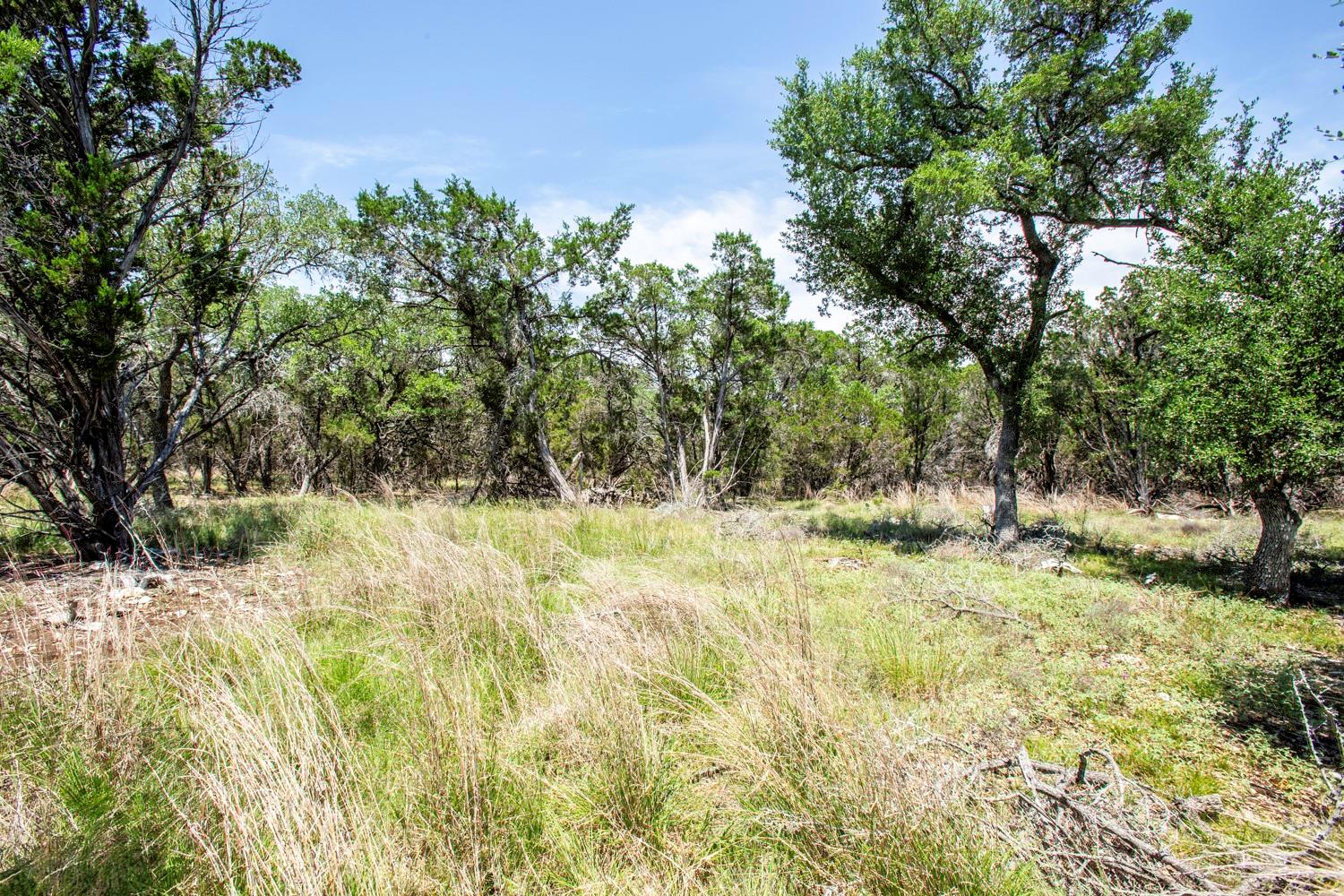 41 Persimmon DR, Wimberley, TX 78676 photo 4