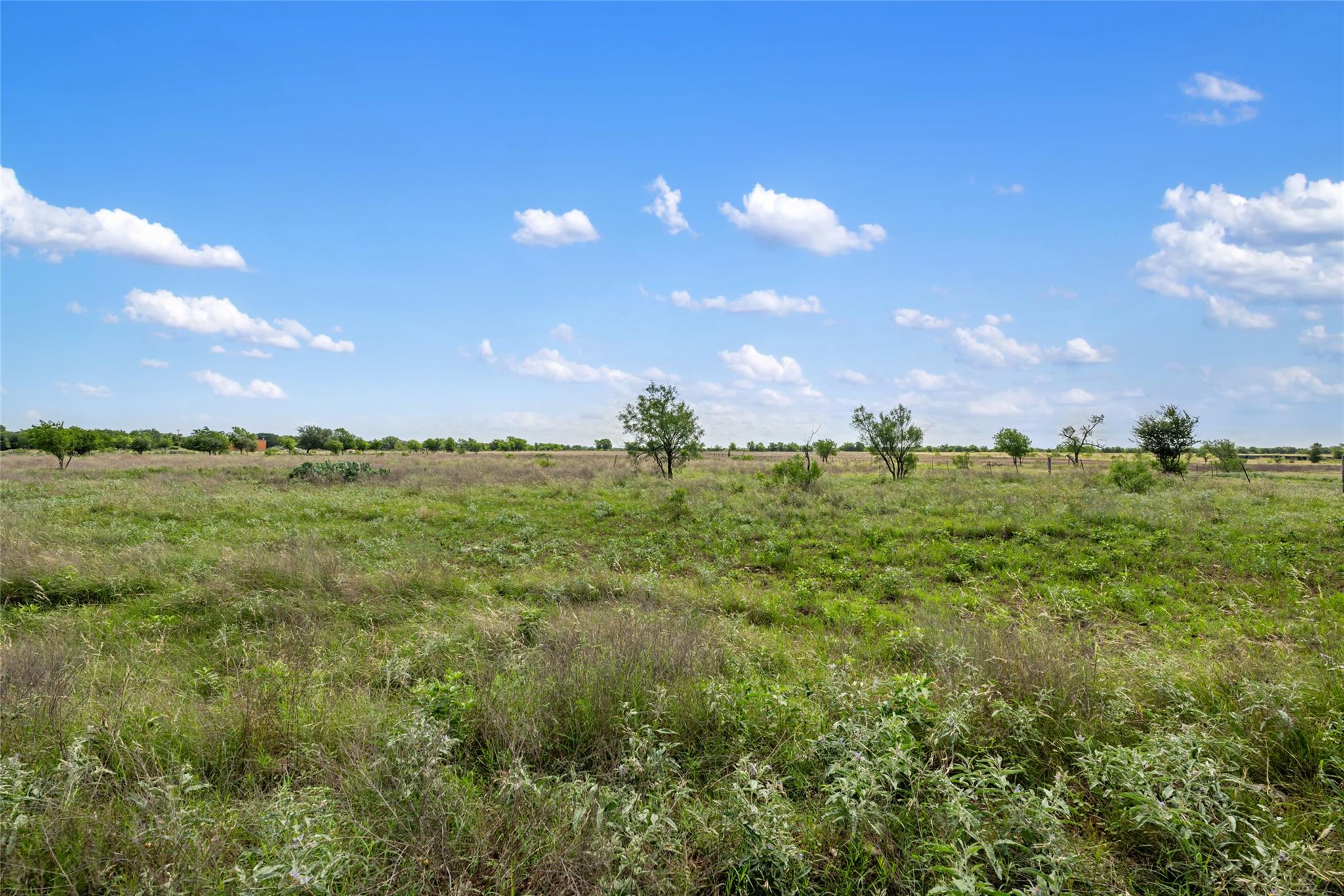 1100-1150 County Road 308 RD #1100-1150, Jarrell, TX 76537 photo 5
