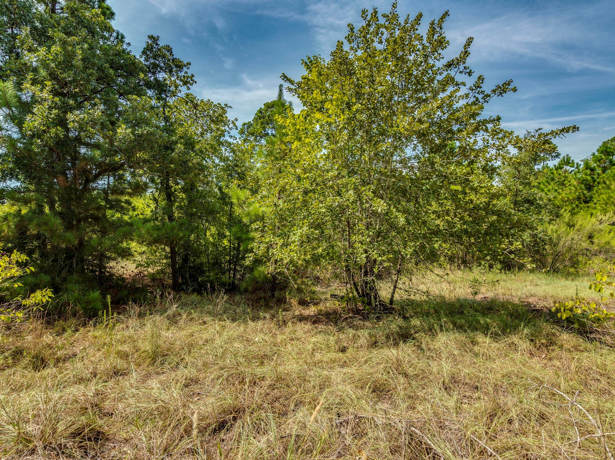 00 Makaha DR, Bastrop, TX 78602 photo 2