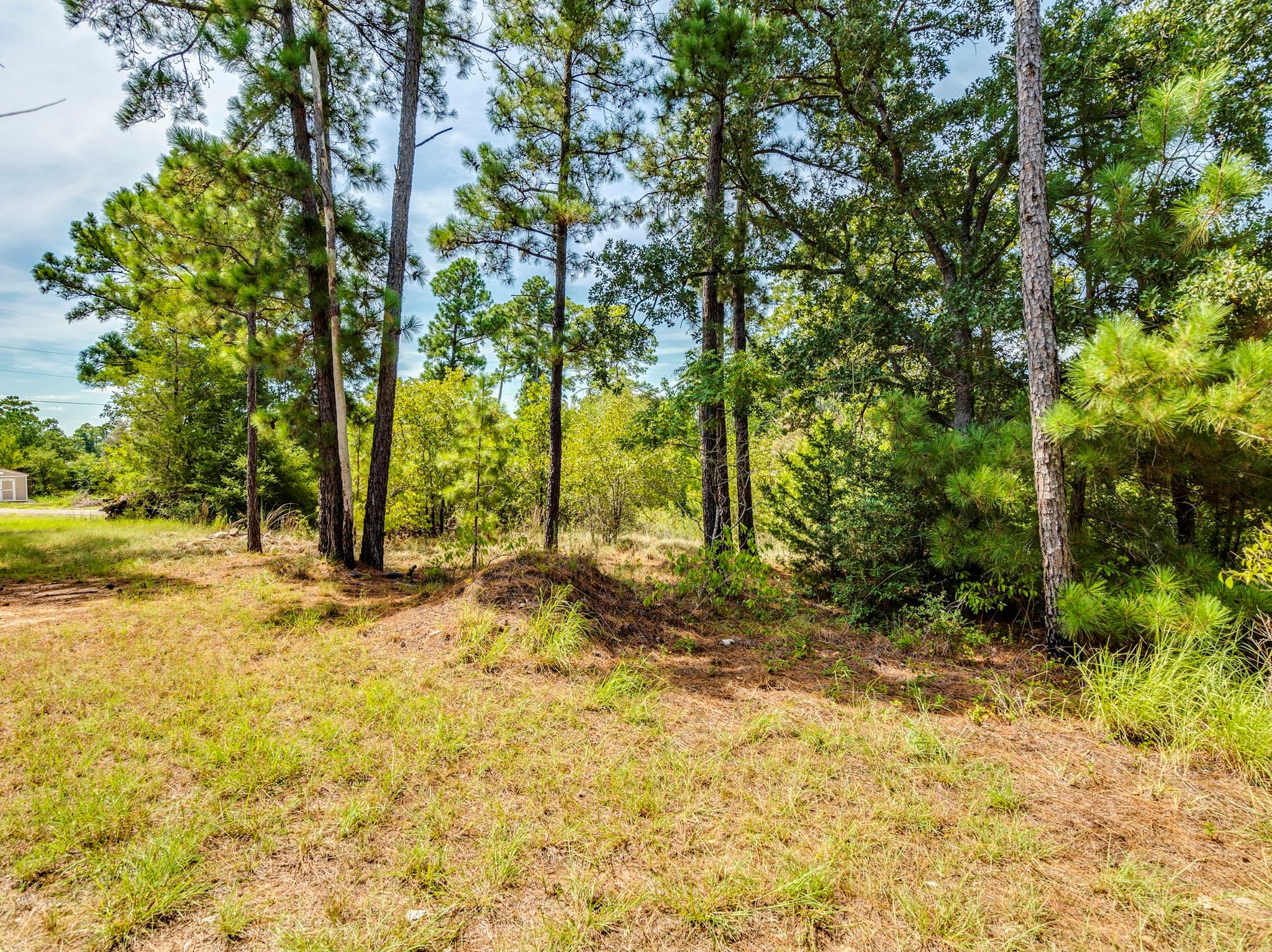 00 Makaha DR, Bastrop, TX 78602 photo 3