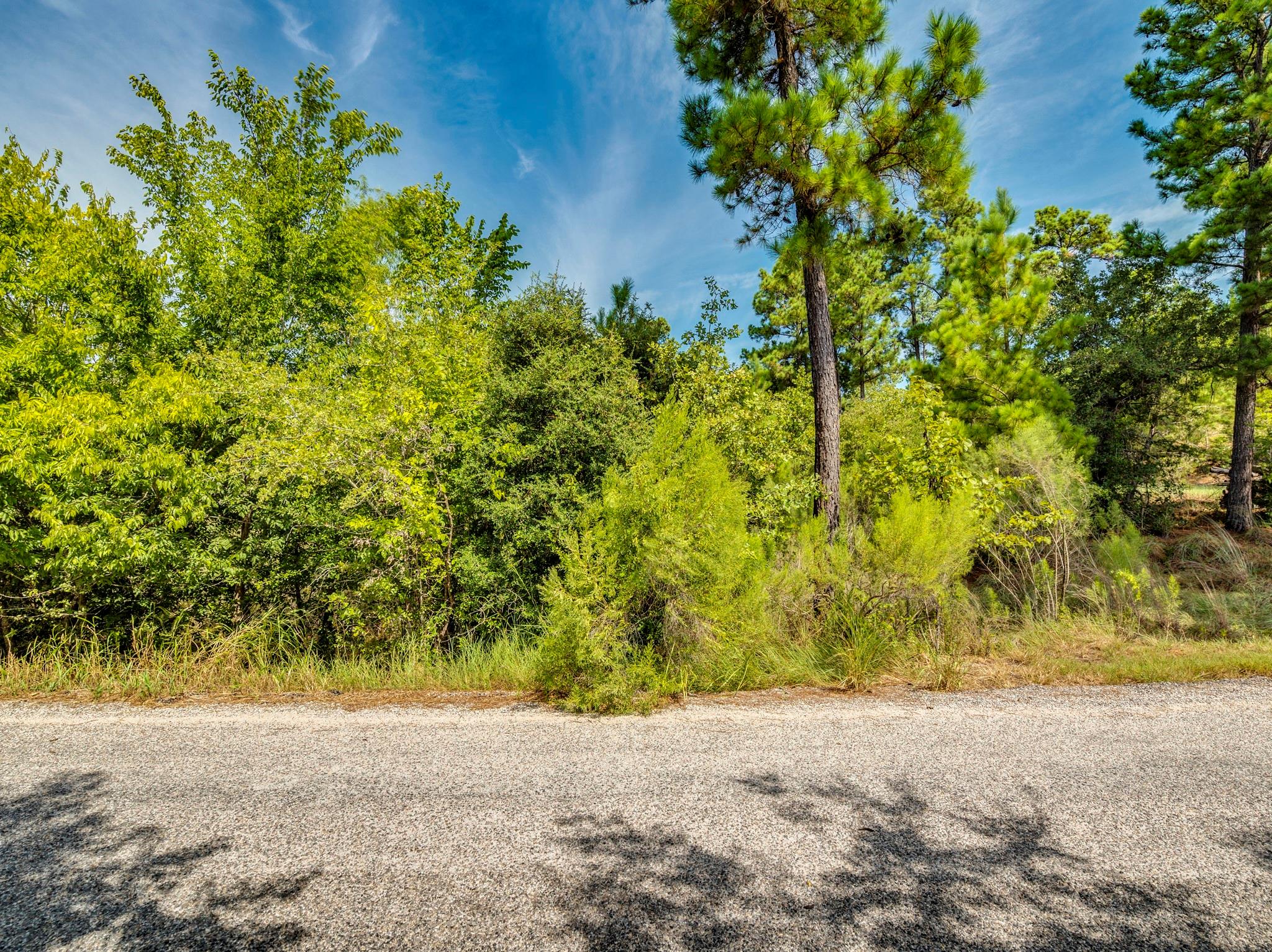 00 Makaha DR, Bastrop, TX 78602 photo 5