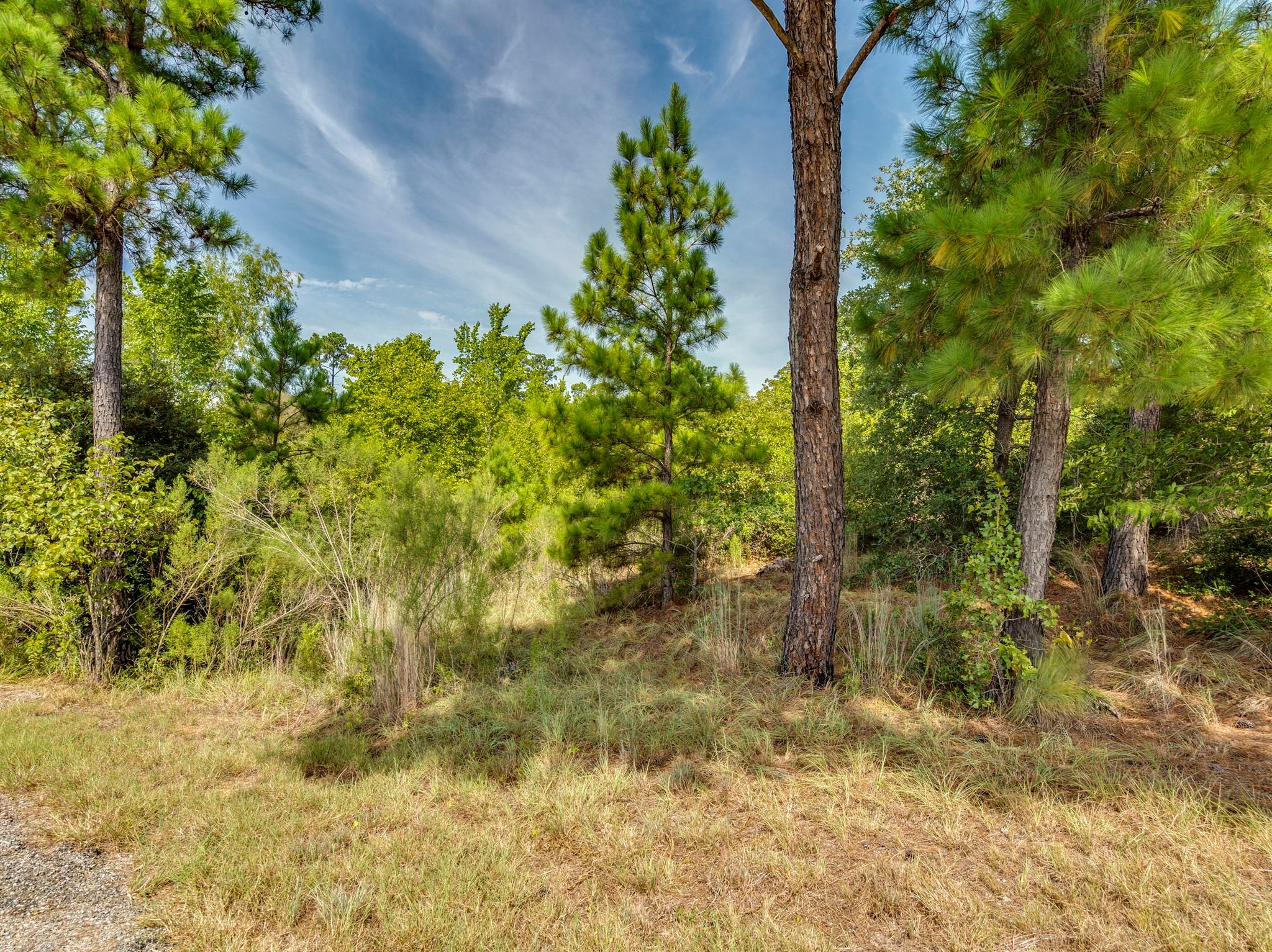 00 Makaha DR, Bastrop, TX 78602 photo 4