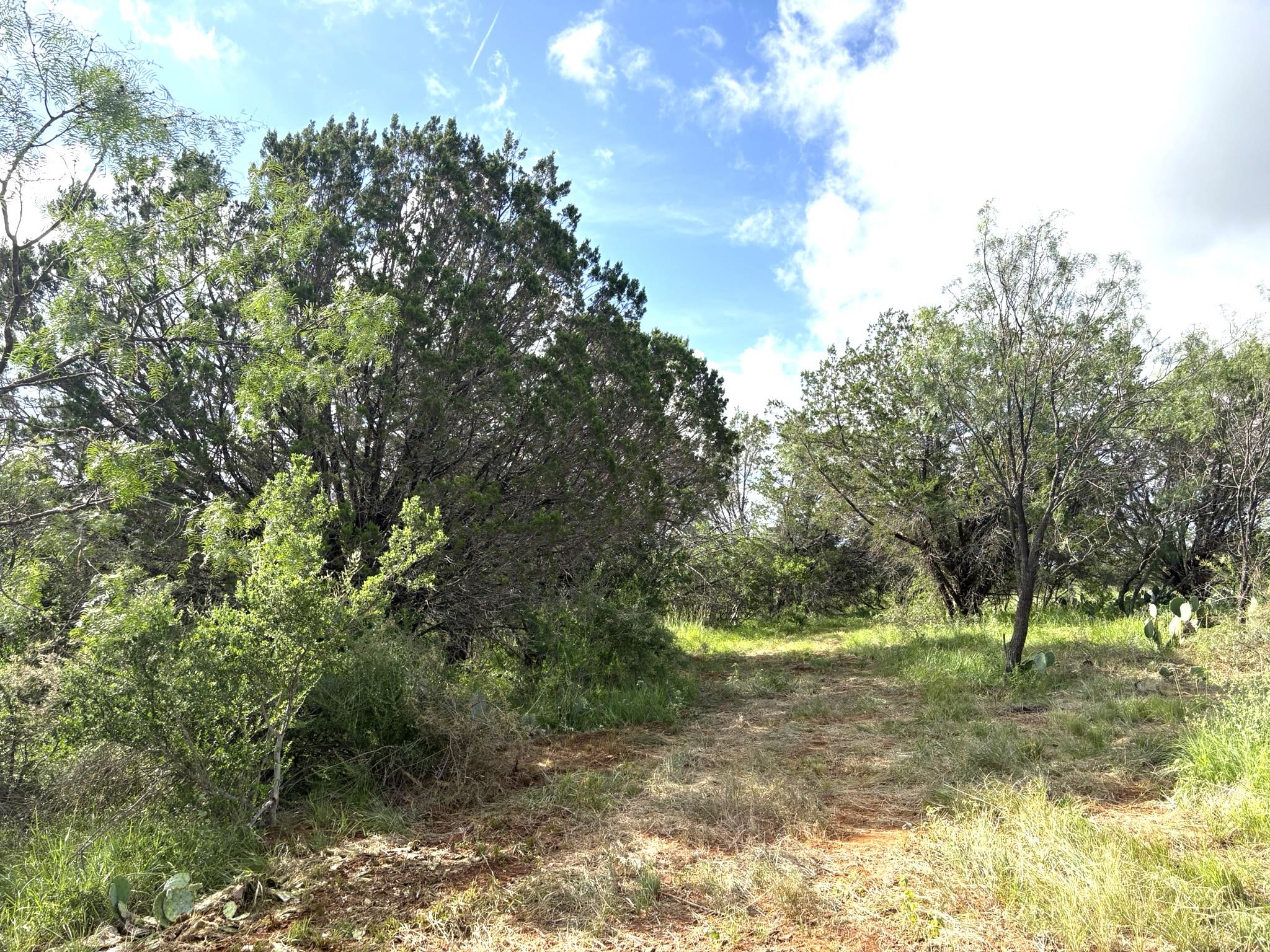 374 Sandy Mountain DR, Sunrise Beach, TX 78643 photo 2