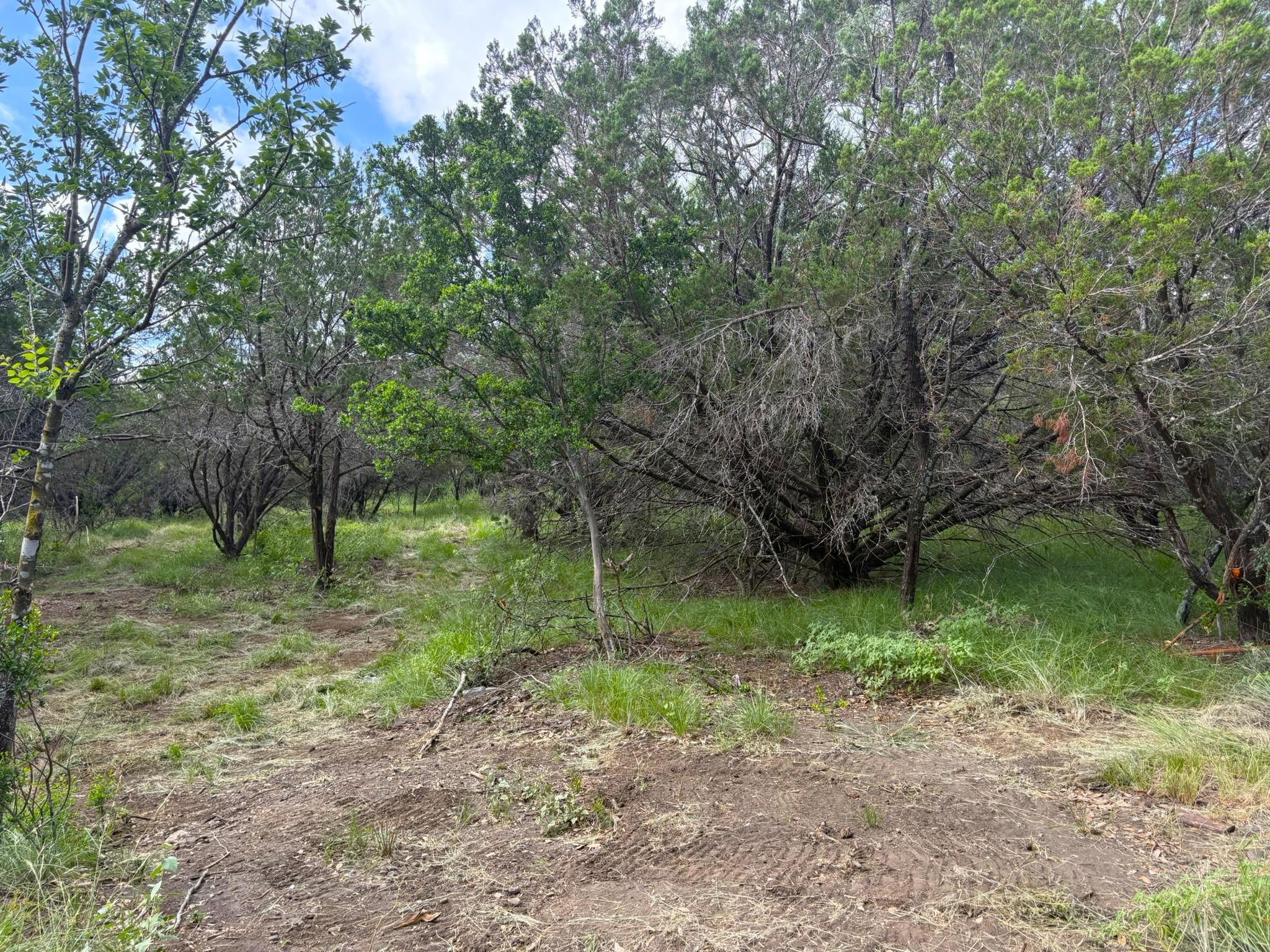 380 Sandy Mountain, Sunrise Beach, TX 78643 photo 5