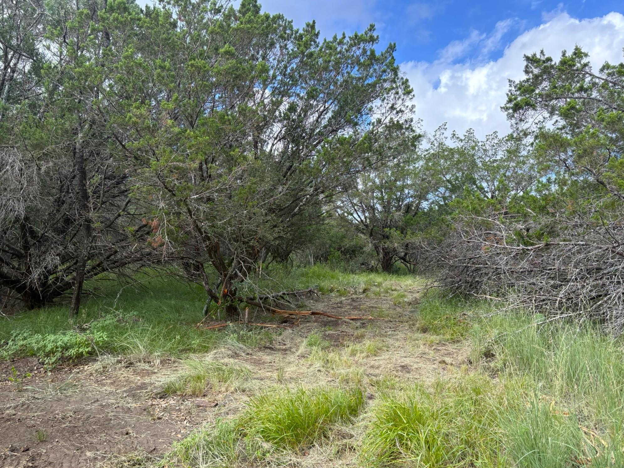 380 Sandy Mountain, Sunrise Beach, TX 78643 photo 4