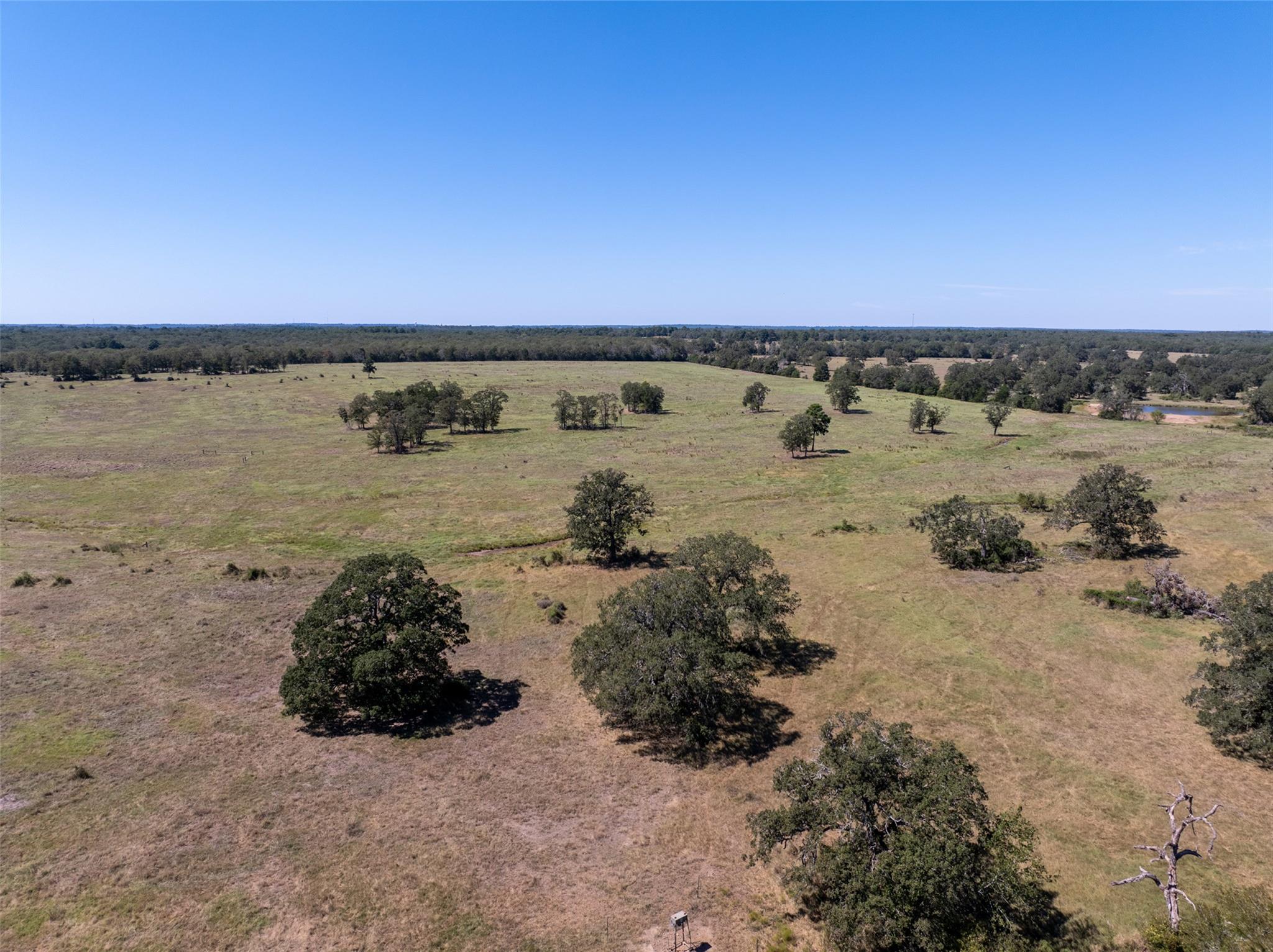1078 Old Pin Oak RD #Tract 1, Paige, TX 78659 photo 5