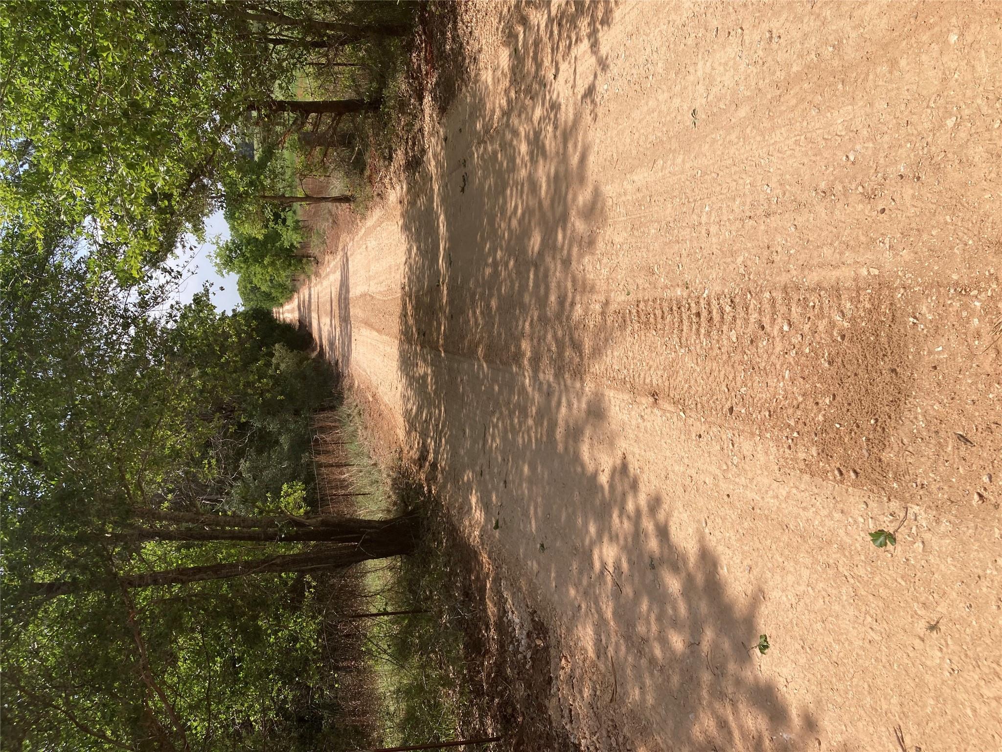 1078 Old Pin Oak RD #Tract 1, Paige, TX 78659 photo 4