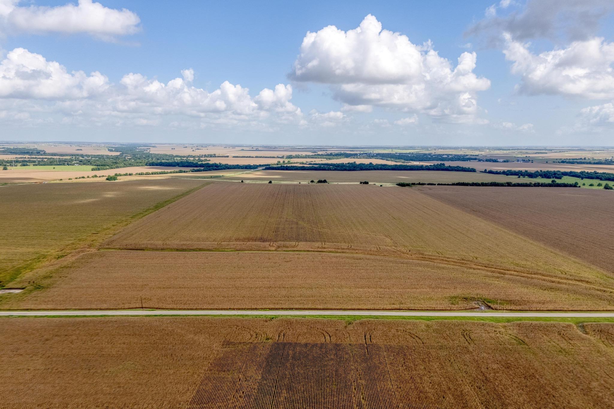 0 County Road 346, Granger, TX 76530 photo 4