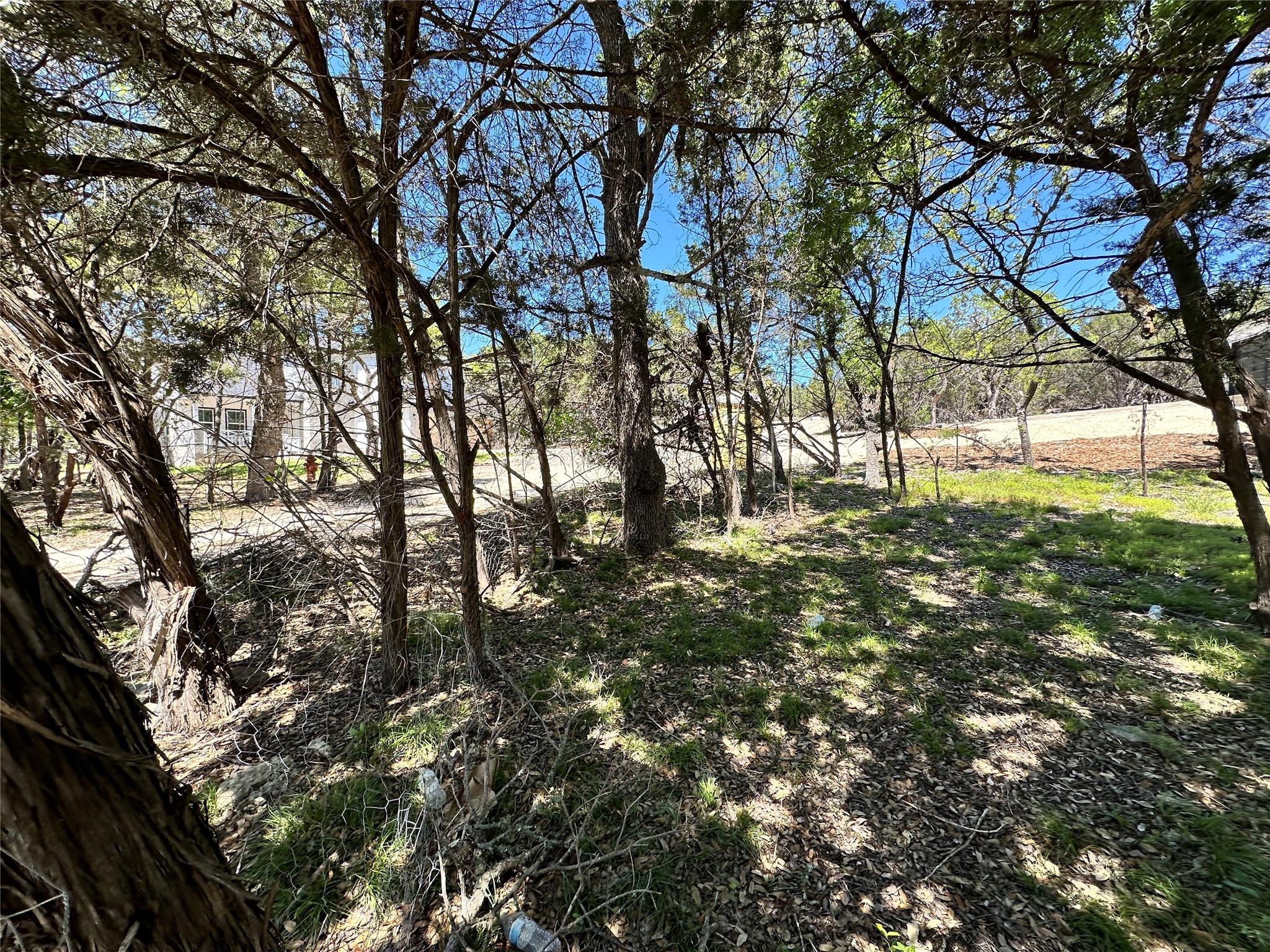 TBD Mimosa ST, Wimberley, TX 78676 photo 3
