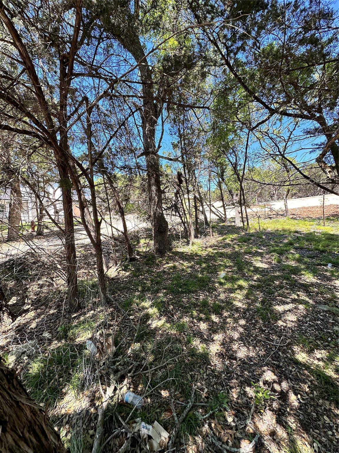 TBD Mimosa ST, Wimberley, TX 78676 photo 5