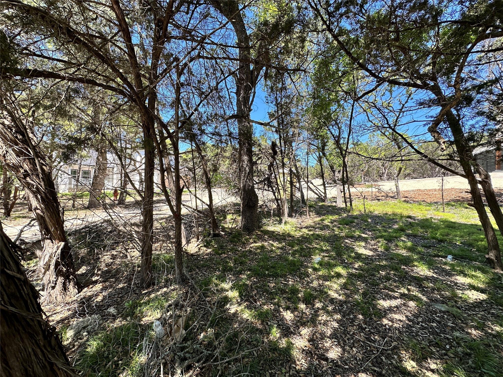 TBD Mimosa ST, Wimberley, TX 78676 photo 4