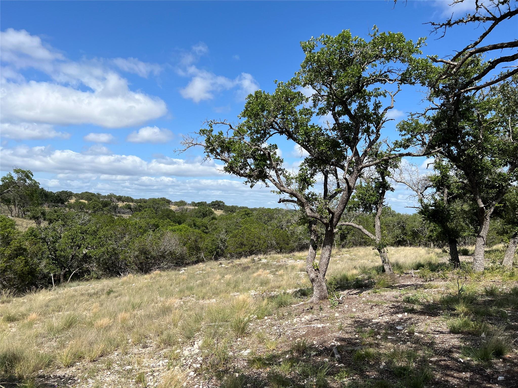 Seven Springs Ranch