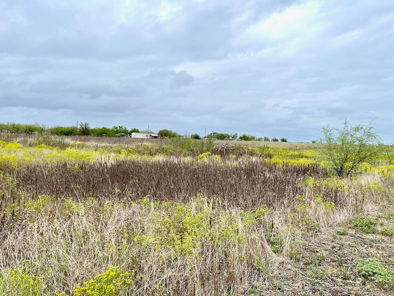11604 Moore RD, Austin, TX 78719 photo 2