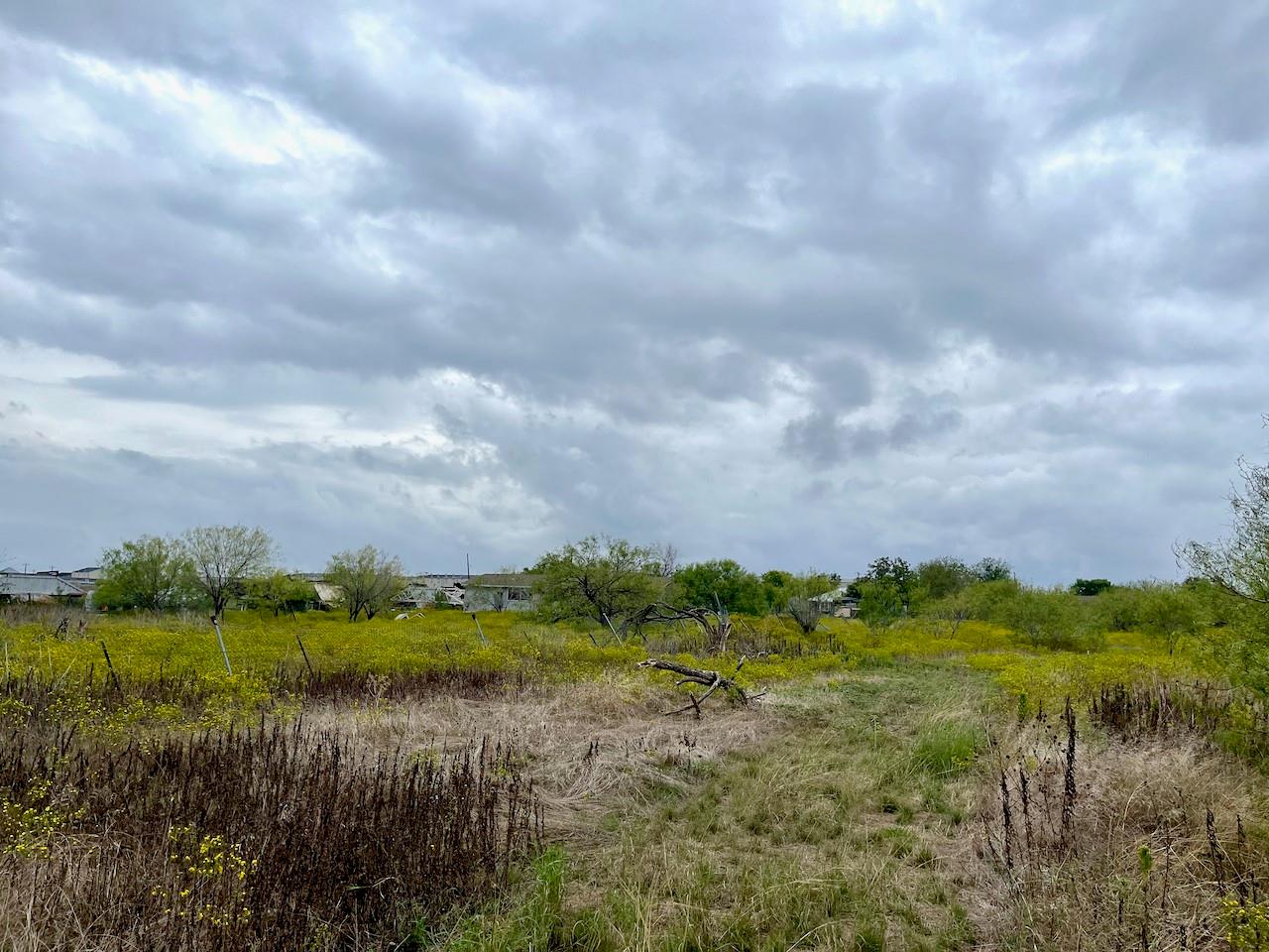 11604 Moore RD, Austin, TX 78719 photo 3