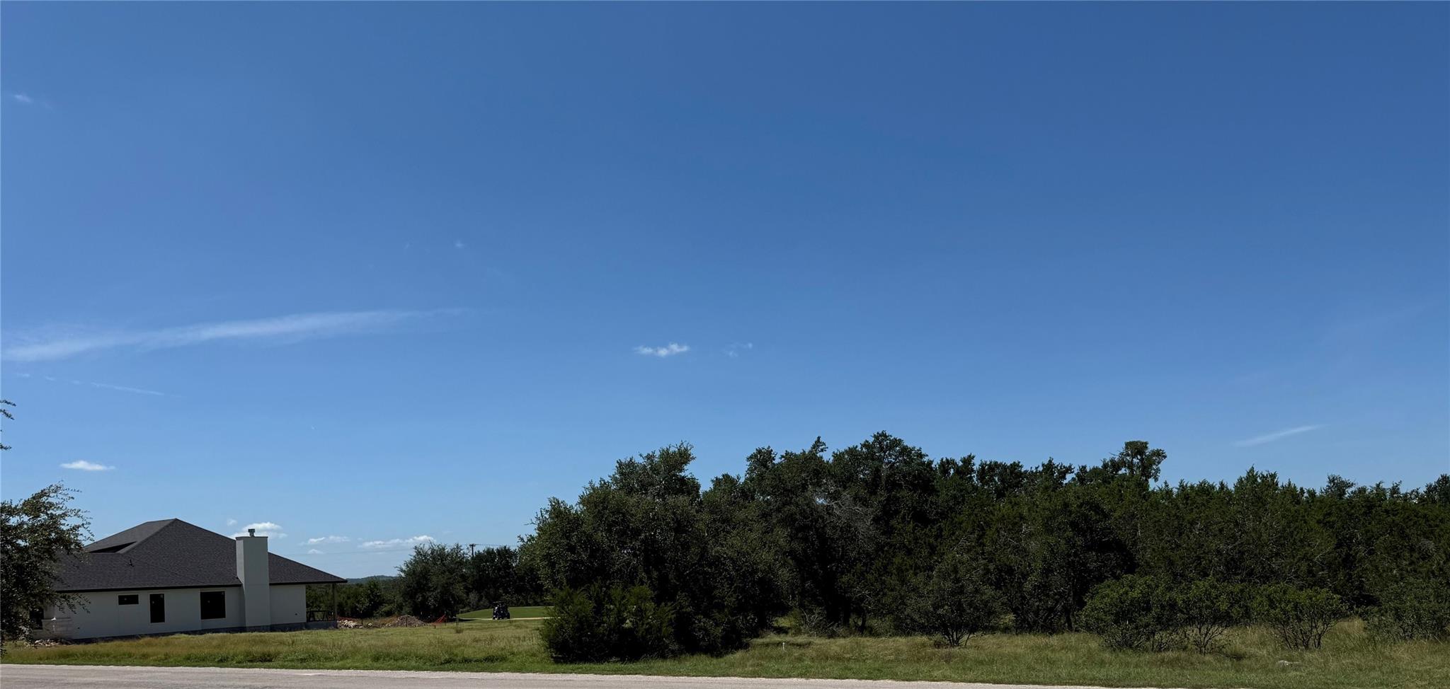 113 John Bird ST, Blanco, TX 78606 photo 3