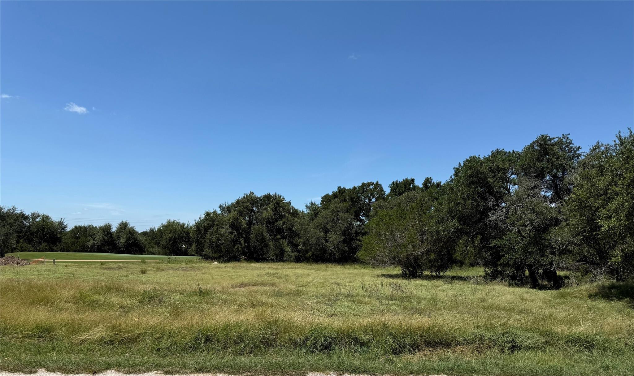 113 John Bird ST, Blanco, TX 78606 photo 5