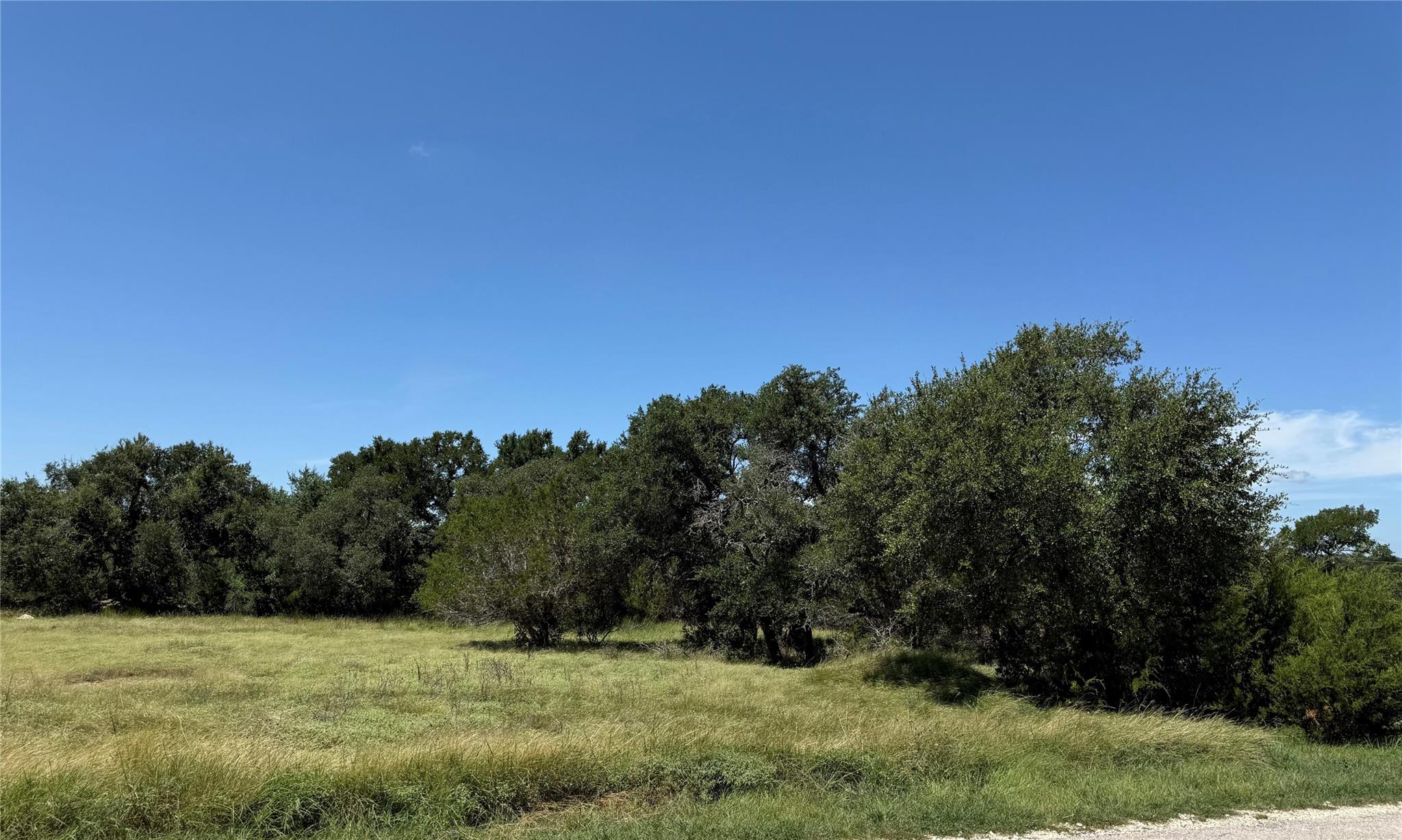 113 John Bird ST, Blanco, TX 78606 photo 4