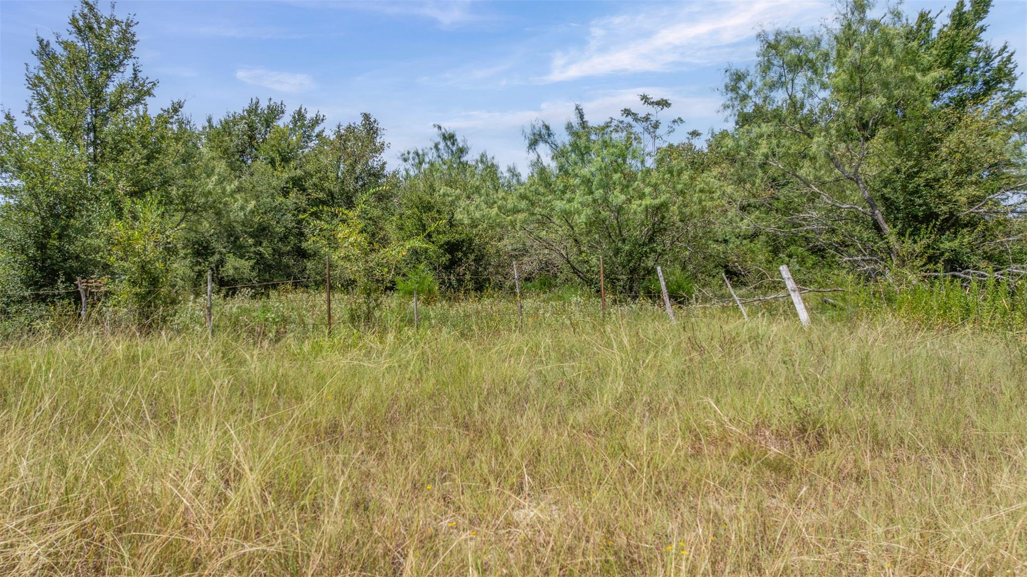 TBD CR 707A, Groesbeck, TX 76653 photo 4